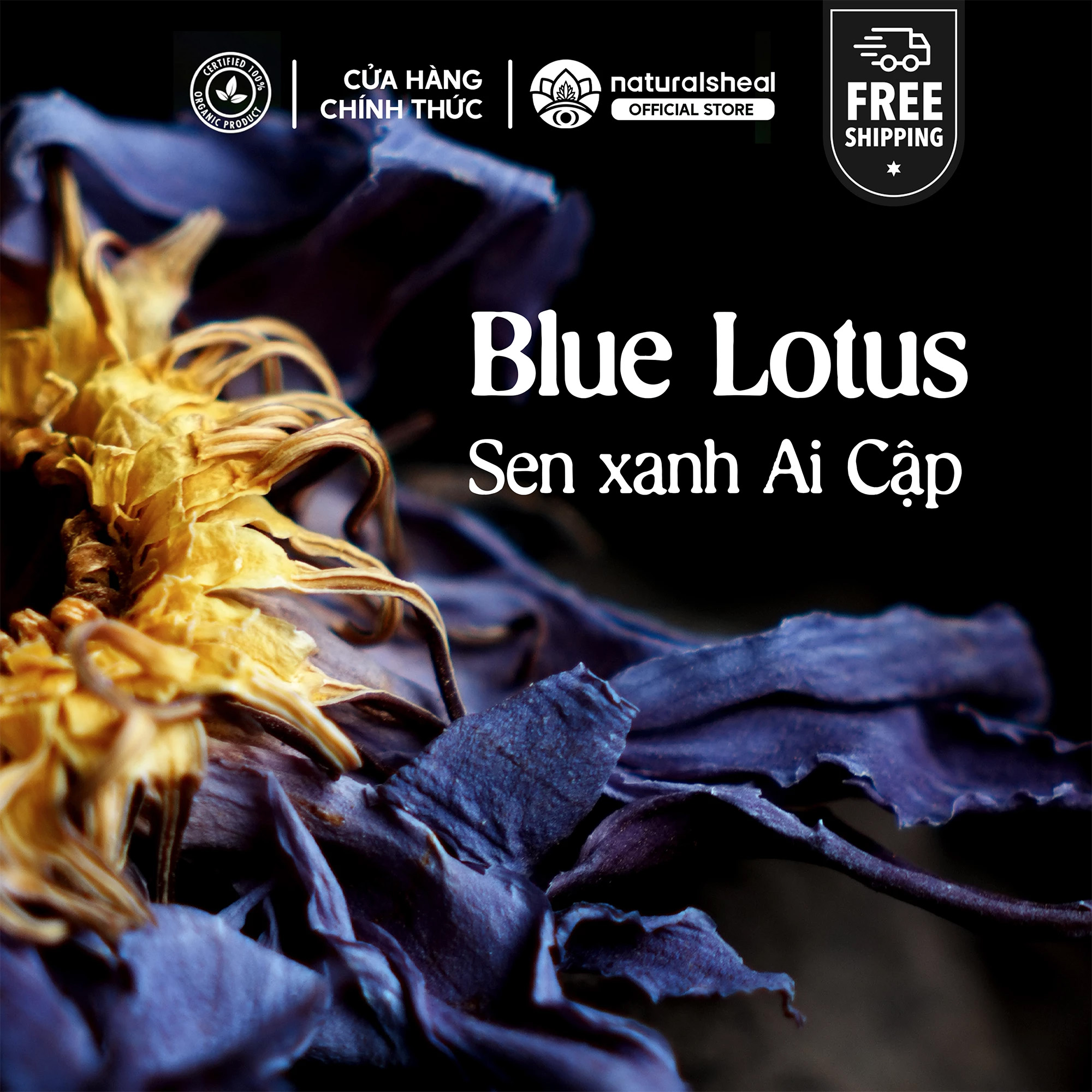 Blue Lotus - Sen Xanh Ai Cập - Nguyên Bản - Nguyên Liệu Thô | Hoa Khô