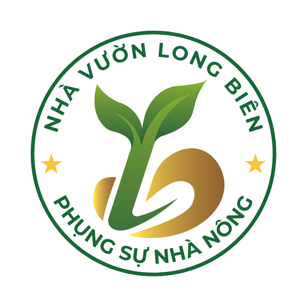 Bưởi Đường Chín Sớm