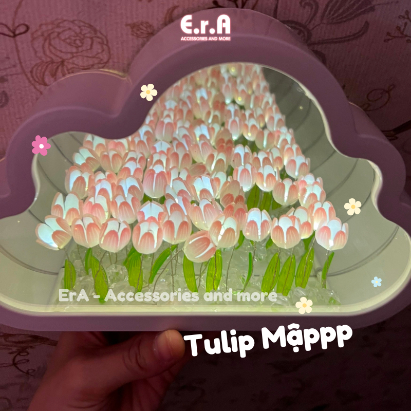 Tulip Đám Mây_thumbnail_6
