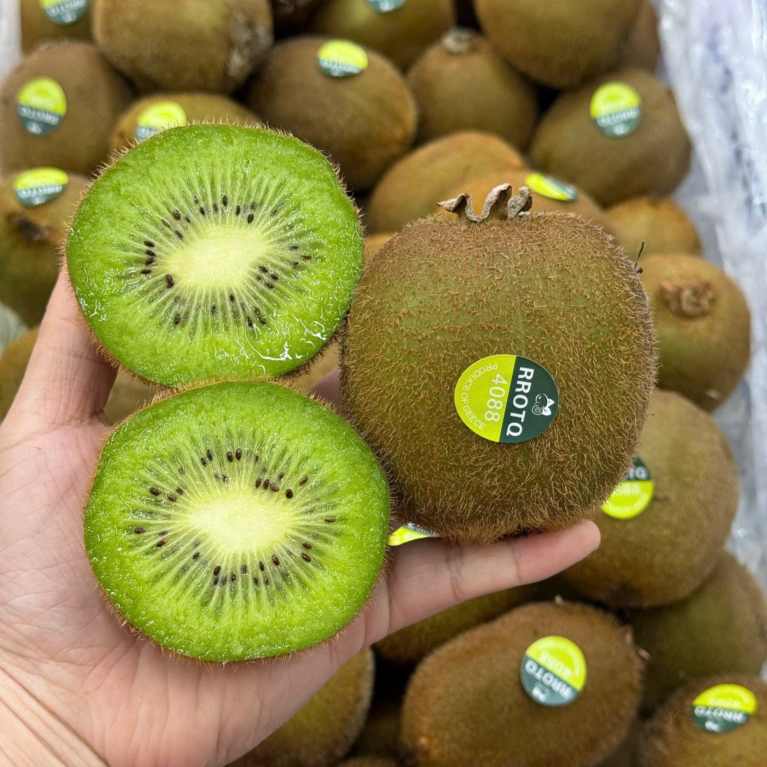 Kiwi Xanh_thumbnail_0