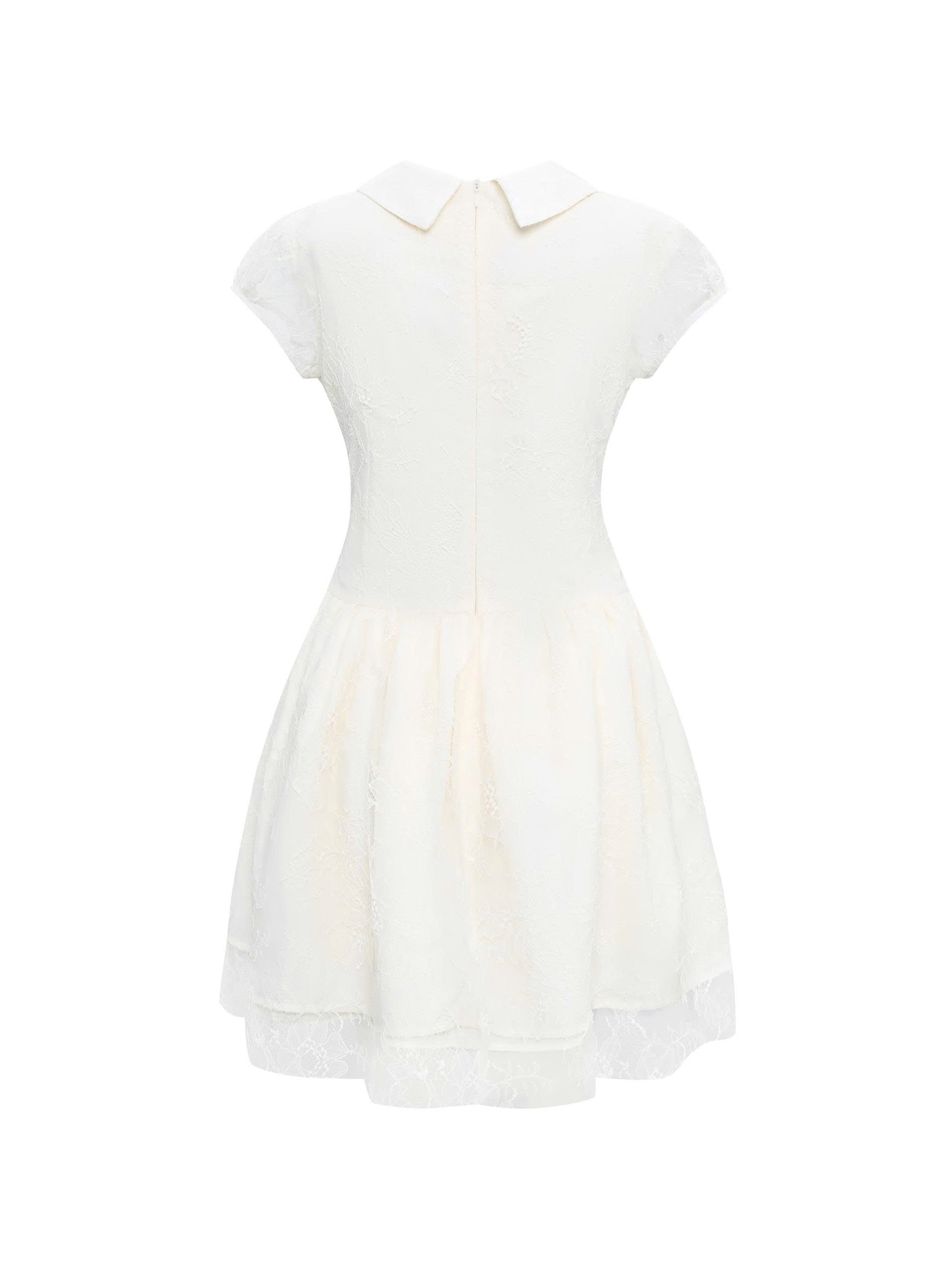 BIGSIZE NỮ- Đầm ren kiểu tùng phồng nút bọc V-DA195