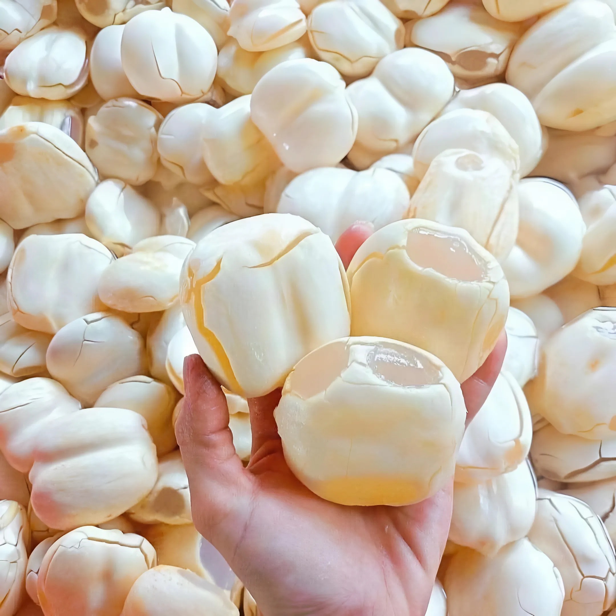 Thốt Nốt Tươi_thumbnail_3