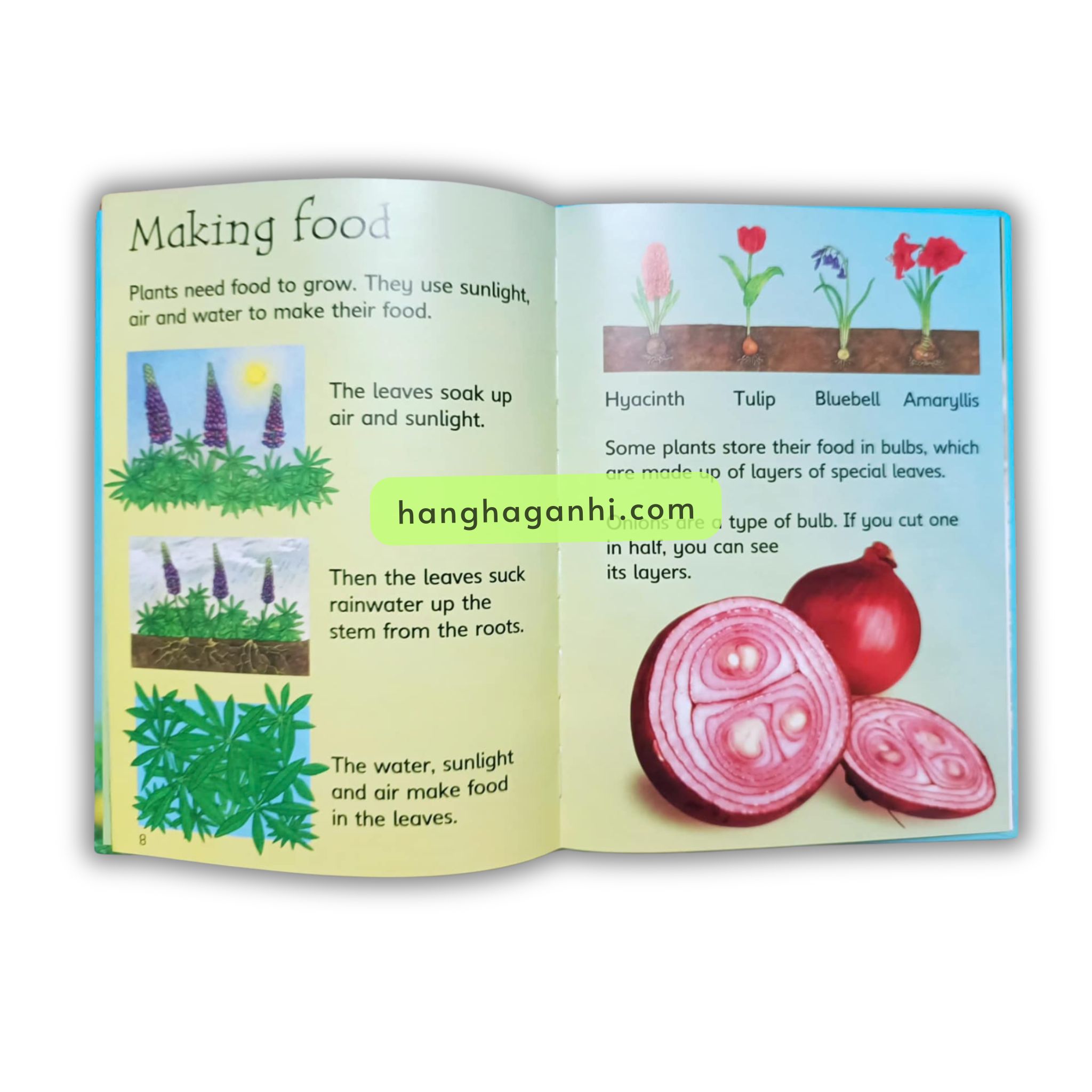 Bộ sách Usborne Beginners Nature Box Set Collection -10 cuốn_thumbnail_6