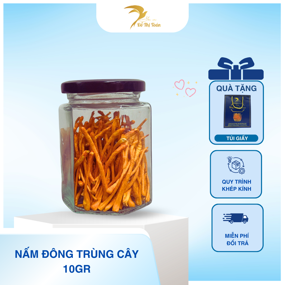 [D5] NẤM ĐÔNG TRÙNG HẠ THẢO HŨ 10GR- ( lớn nhỏ, có gãy nhẹ, ko nát)