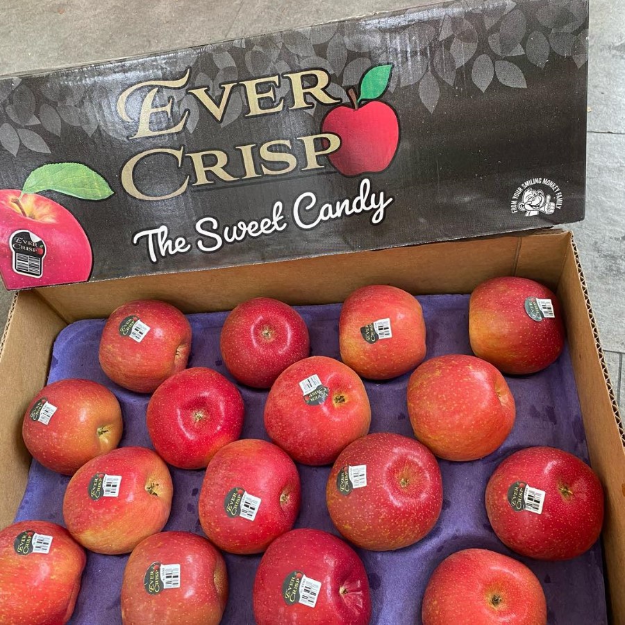 Táo Evercrisp Mỹ_thumbnail_1