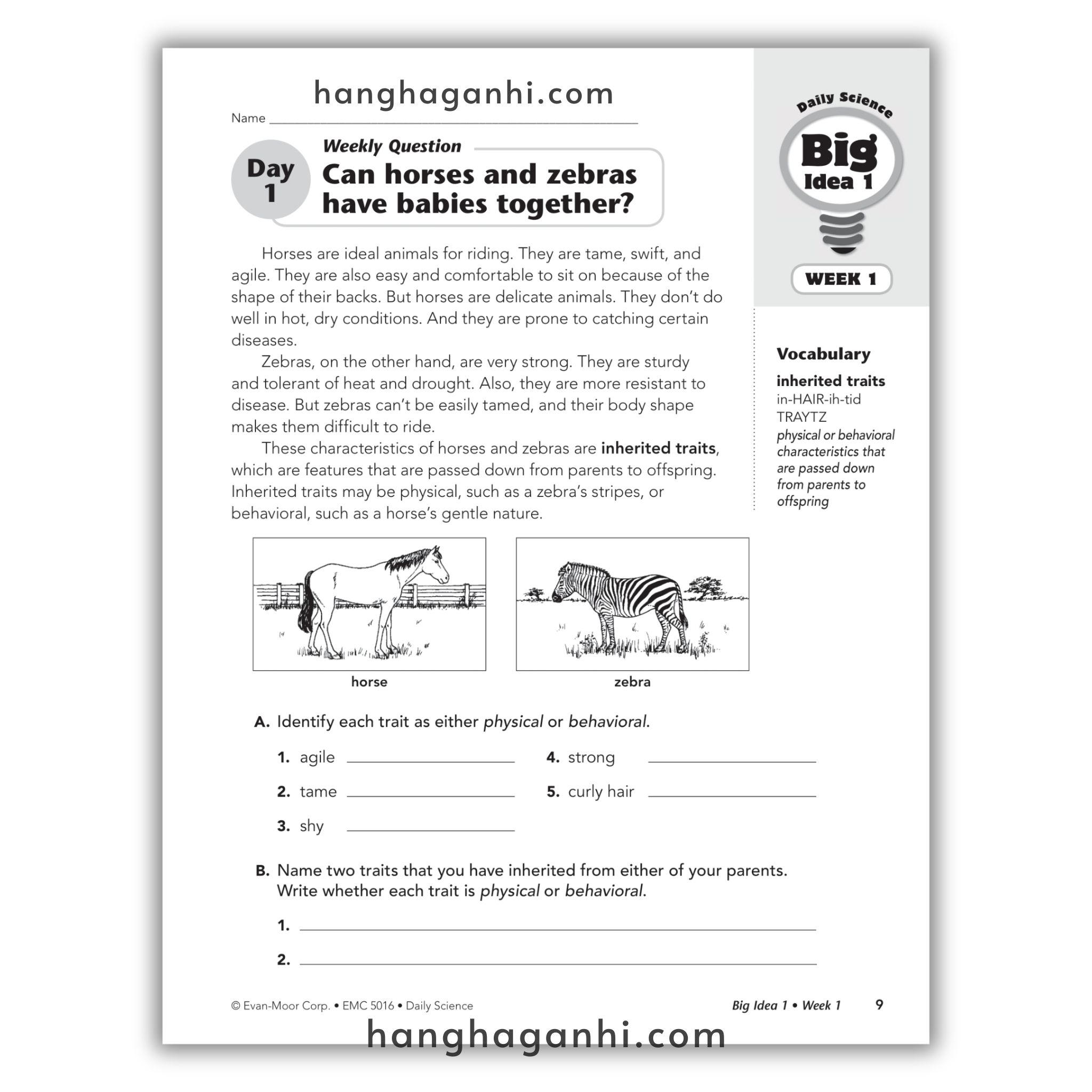 Bộ sách DAILY SCIENCE – EVANMOOR – Trọn bộ 6 cuốn_thumbnail_19