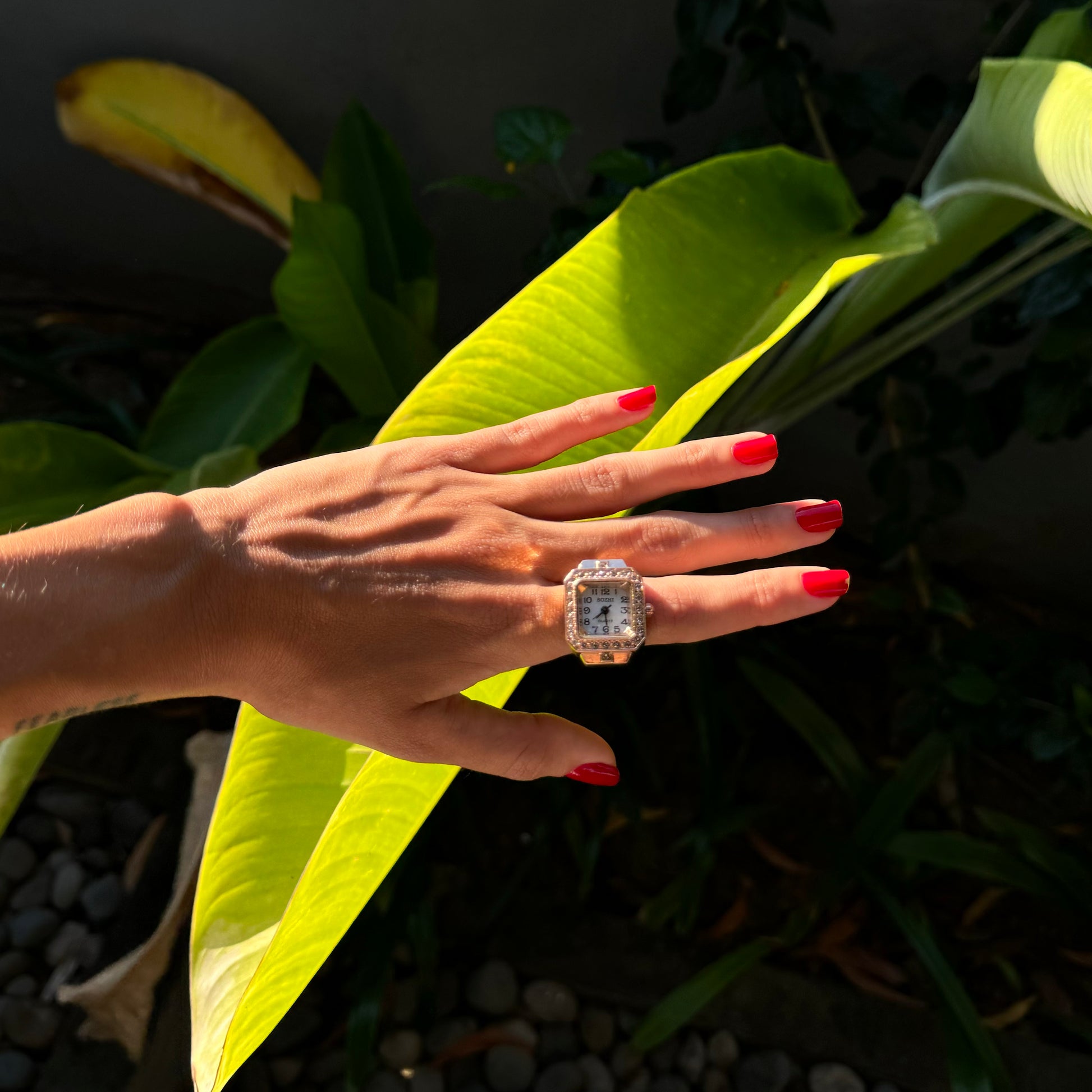 SIENA RING _thumbnail_16