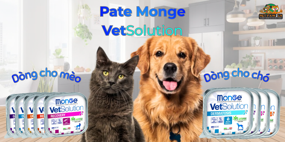 Review Pate Monge VetSolution: Dinh dưỡng cho thú cưng bị bệnh