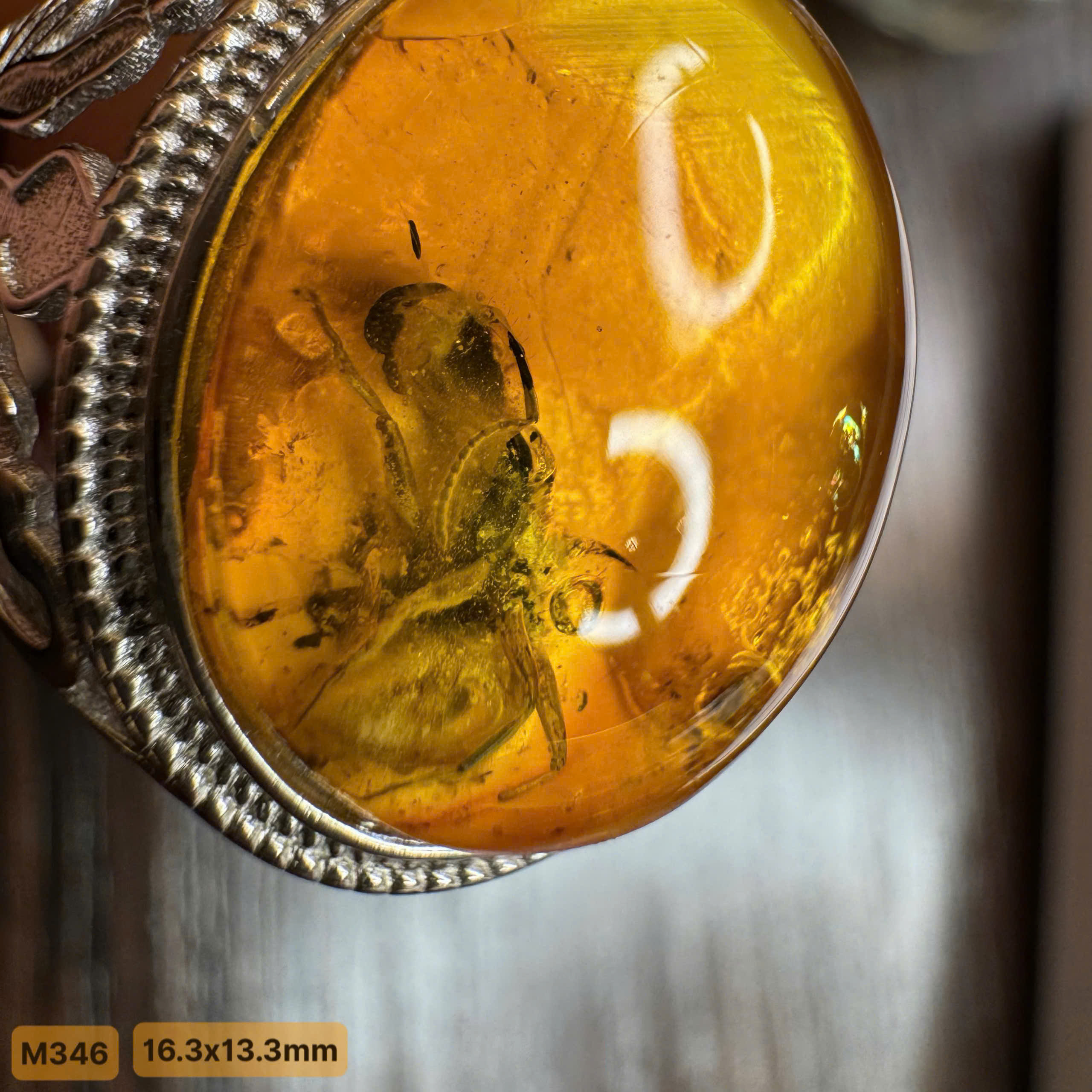 Nhẫn Côn Trùng Kiến Cổ Đại - M346