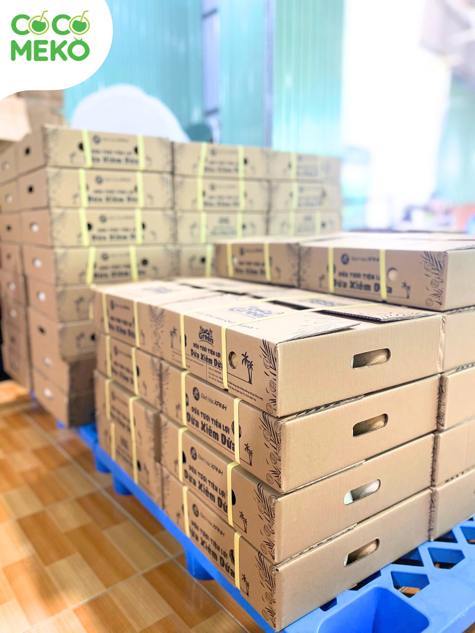 Pandan Coconut_thumbnail_2