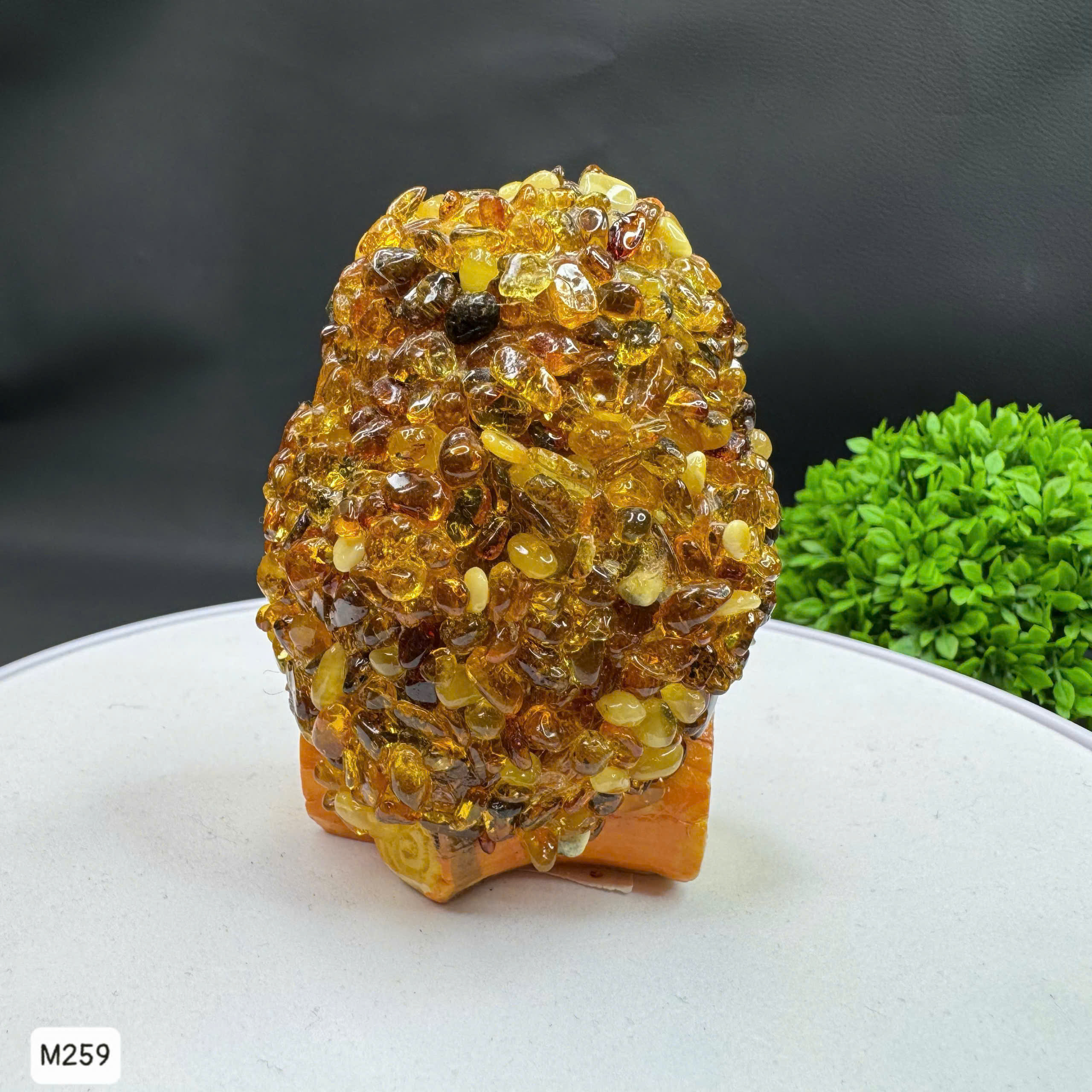 Cú Mèo Học Đường Hổ Phách Tự Nhiên - M259_thumbnail_2