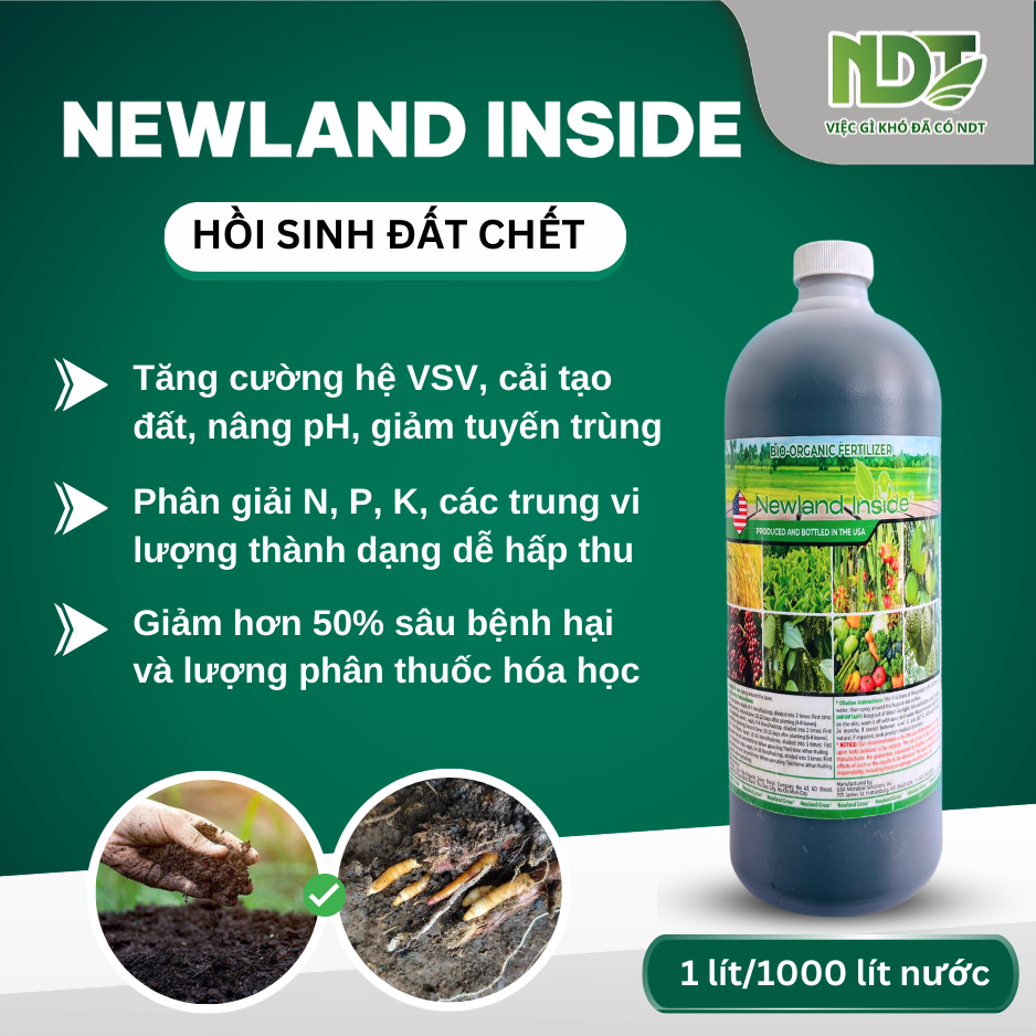 NEWLAND INSIDE_thumbnail_1