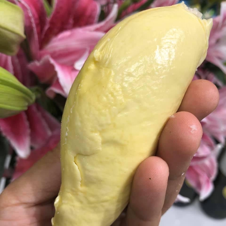 Tách Sẵn - Sầu Riêng Chuồng Bò cổ_thumbnail_1