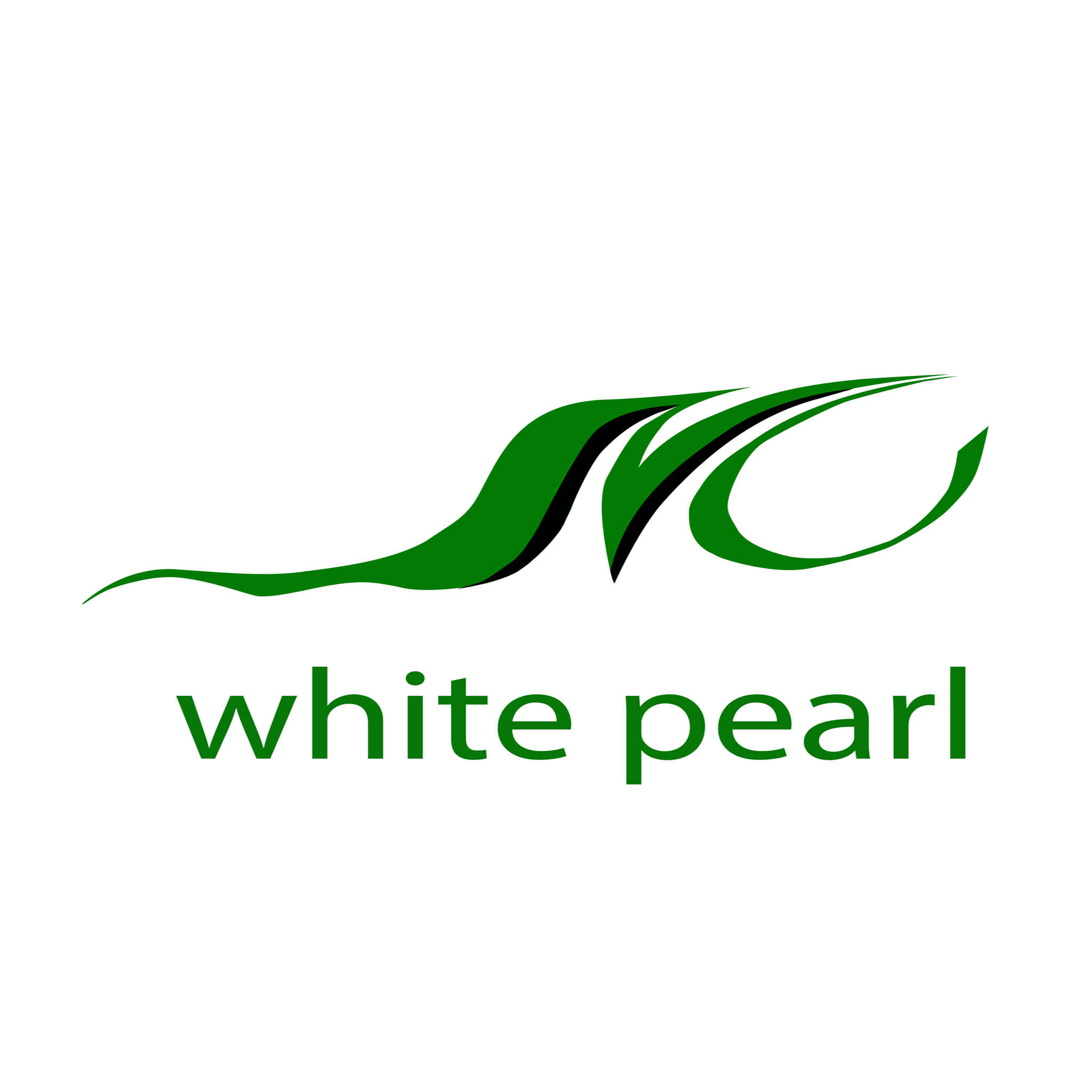 Display image