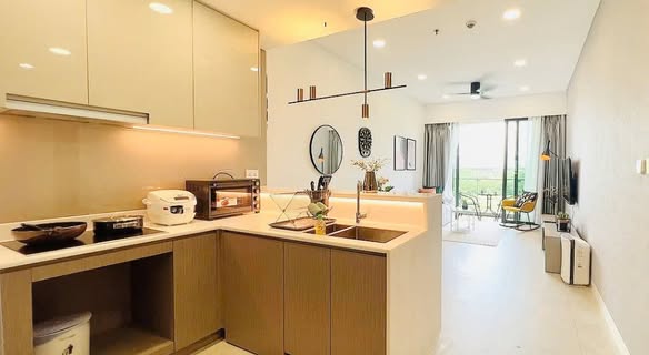 Dự án The River Thủ Thiêm - Cần cho thuê căn hộ 1PN, dọn vào ở ngay_thumbnail_2