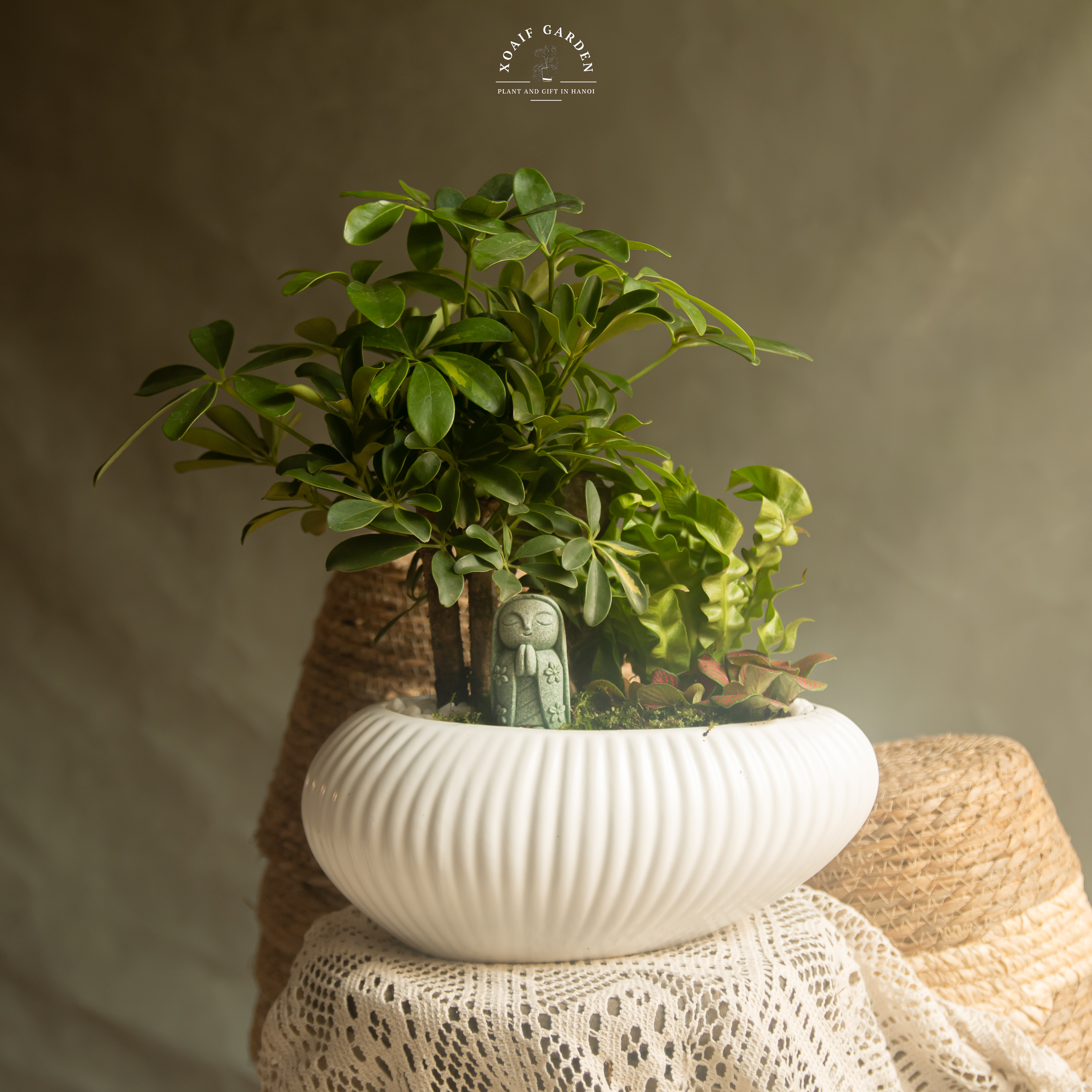 SET MIX PHONG THỦY NGŨ GIA BÌ BONSAI_thumbnail_3