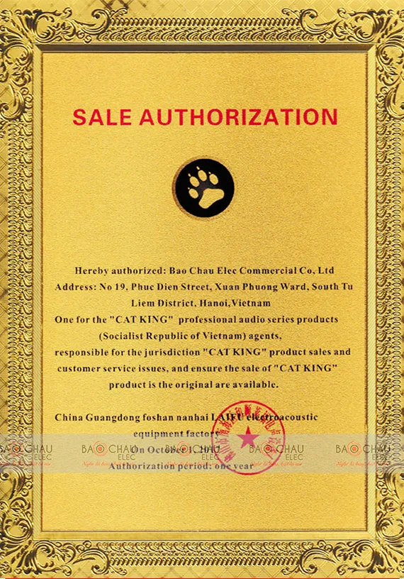 Catking-1230393455-2063065653