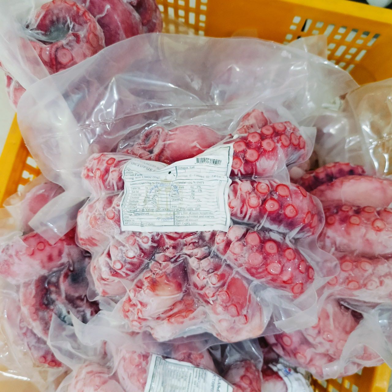 Bạch tuộc đỏ nguyên con_thumbnail_2