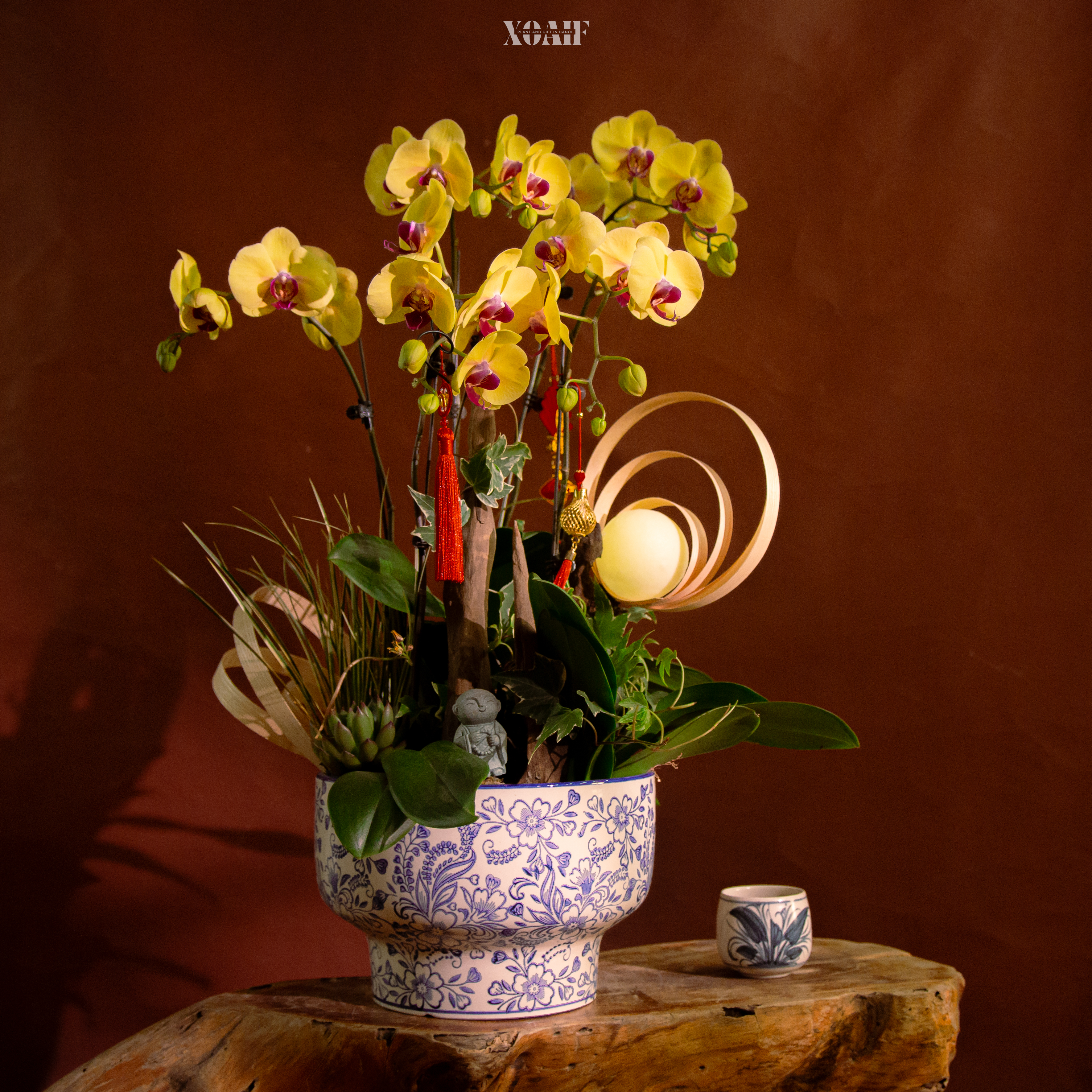 LAN HỒ ĐIỆP - NGUYỆT DẠ LAN HƯƠNG