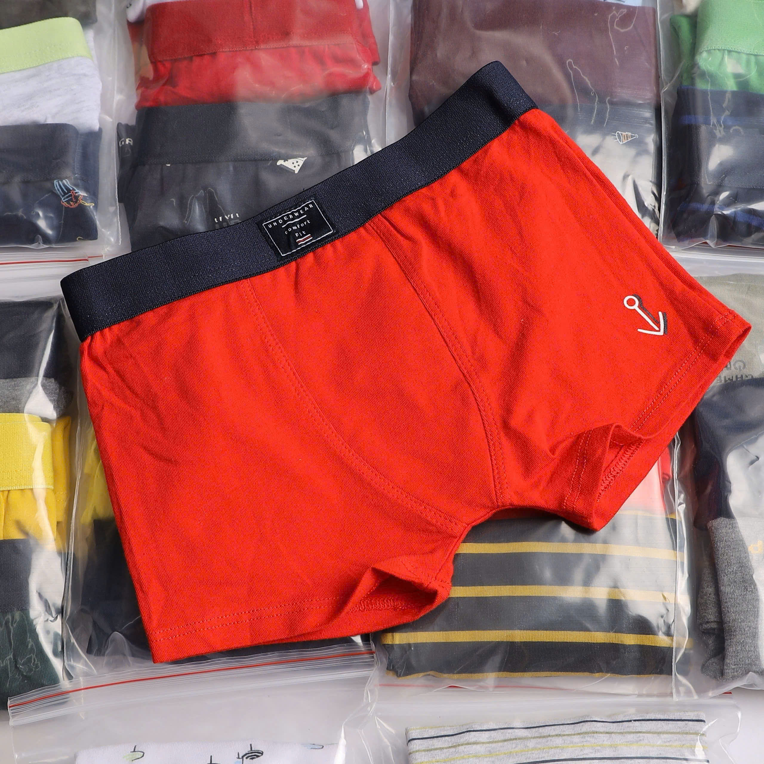 Set 6 quần chip bé trai ( NGẪU NHIÊN 4-5 MÀU )_thumbnail_13