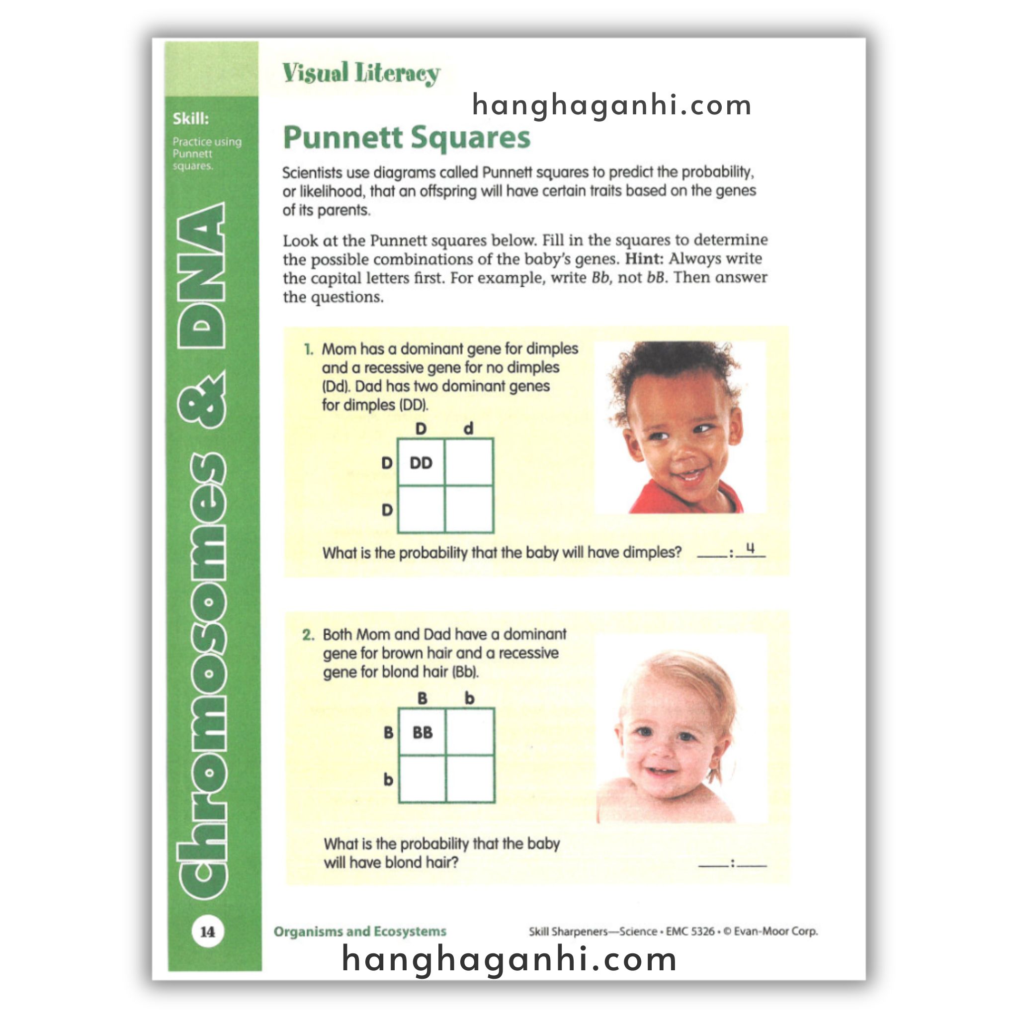 Skill Sharpeners Science Grade 6_thumbnail_14