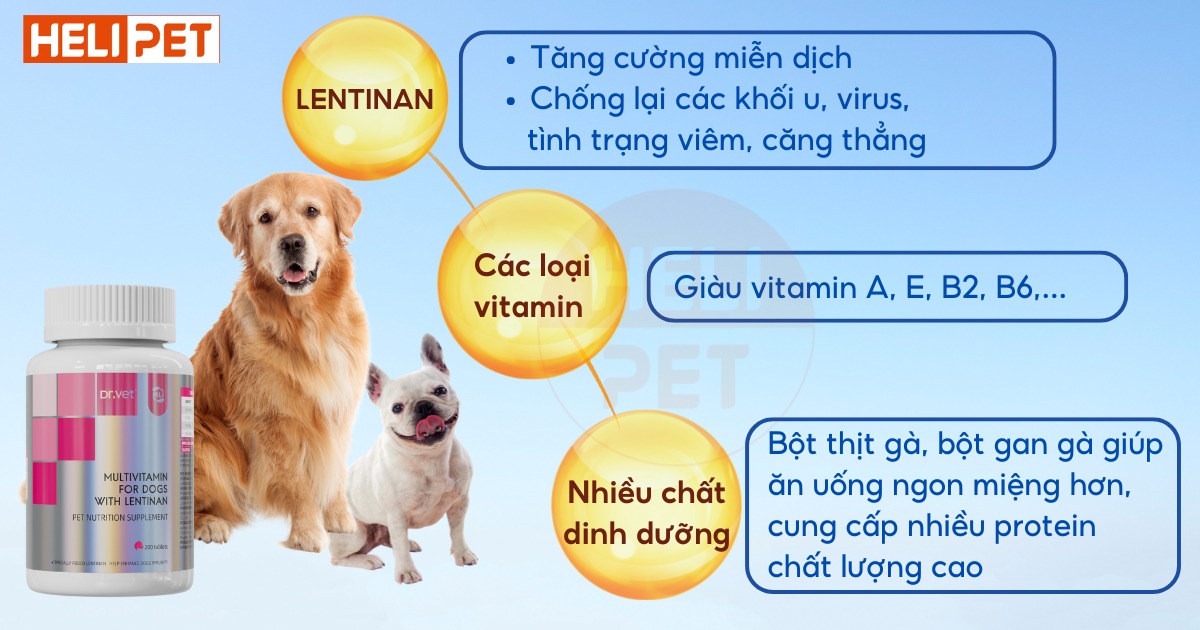 DR.VET Multivitamin for Dogs