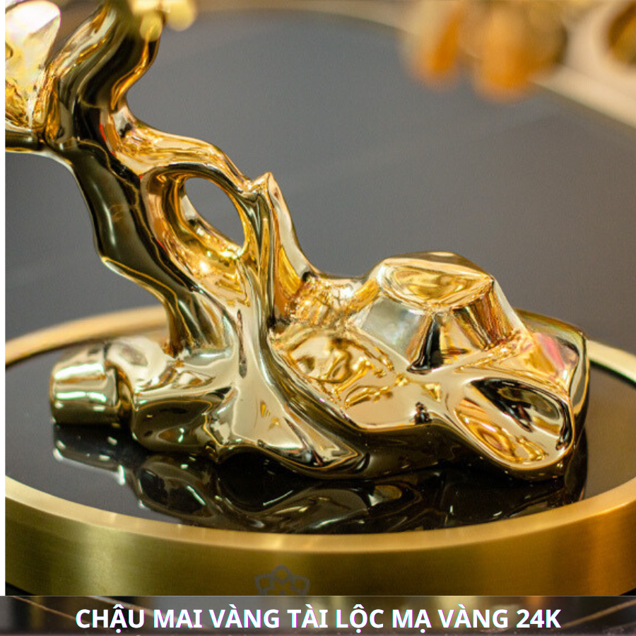 CHẬU MAI VÀNG TÀI LỘC MẠ VÀNG 24K_thumbnail_4
