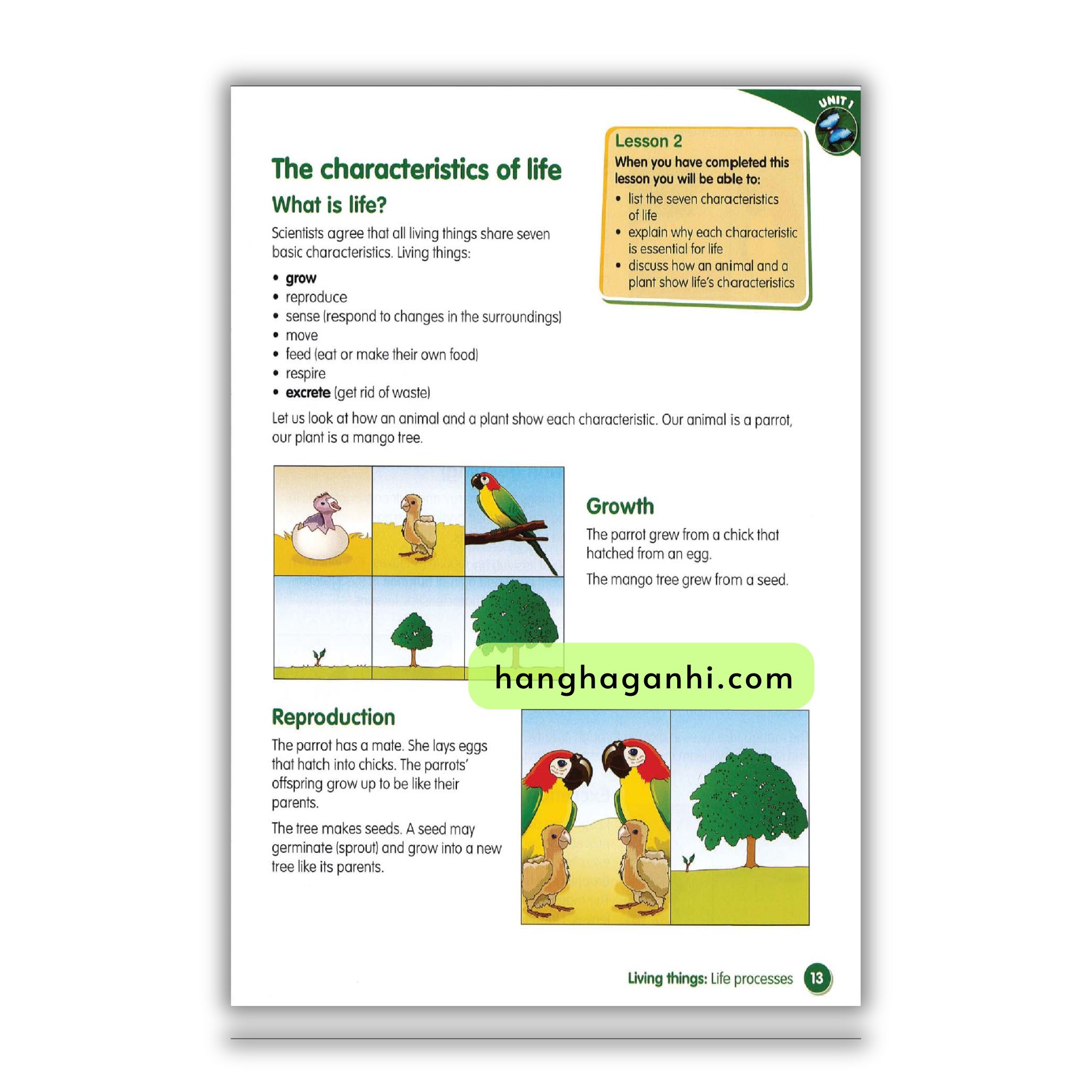 Macmillan Science 4 Pupil’s book_thumbnail_5