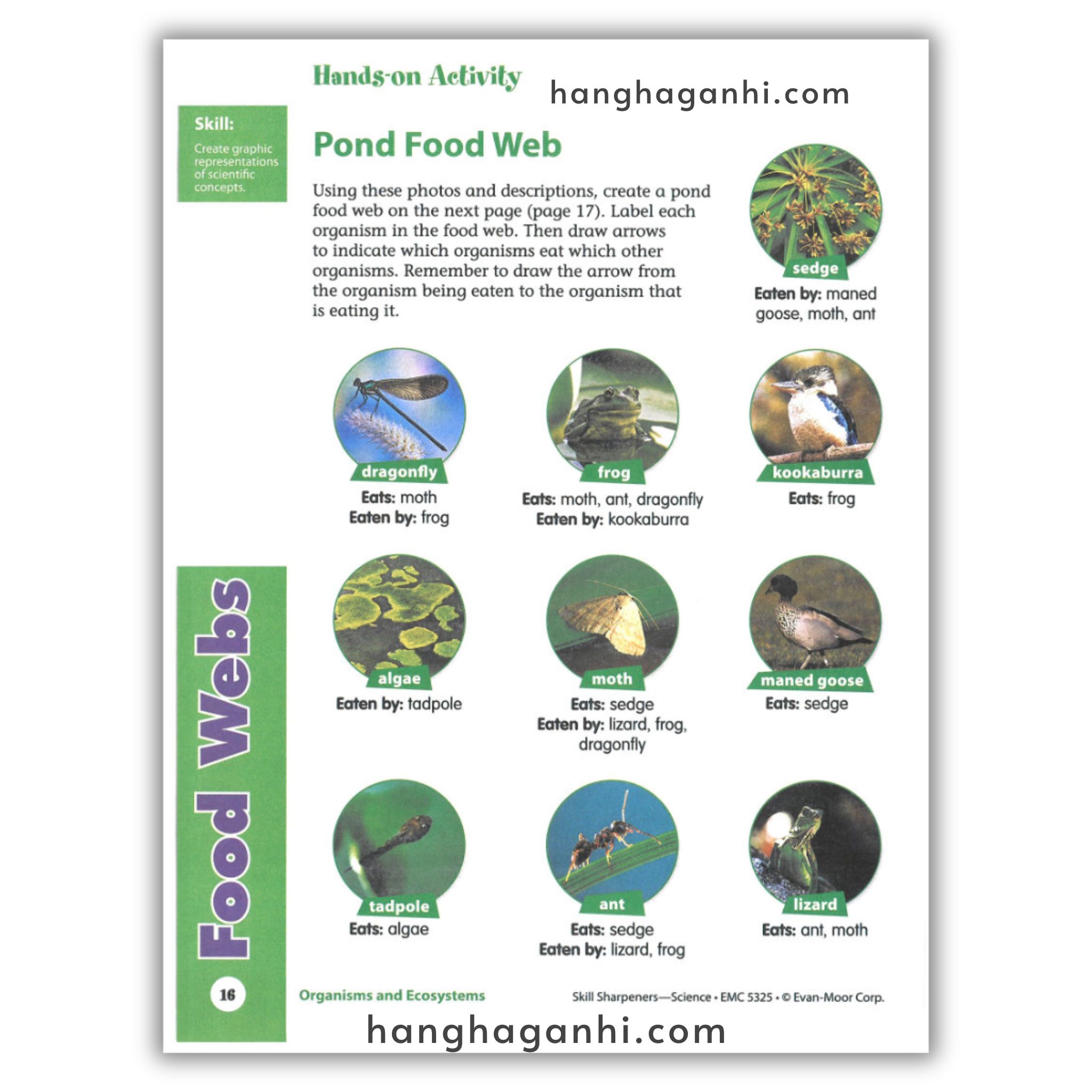 Skill Sharpeners Science Grade 5_thumbnail_13