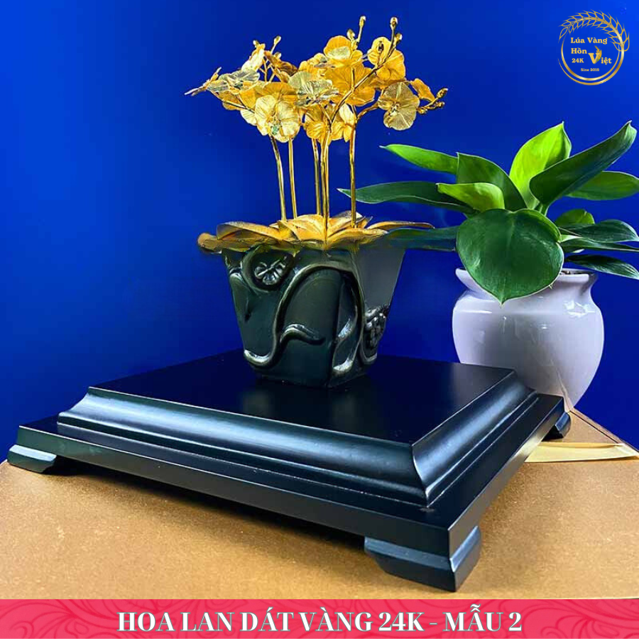 HOA LAN DÁT VÀNG 24K - MẪU 2_thumbnail_1
