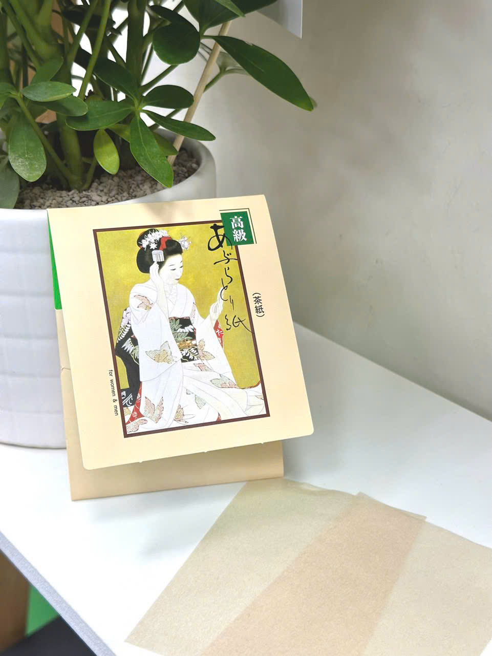 SET GIẤY THẤM DẦU GEISHA