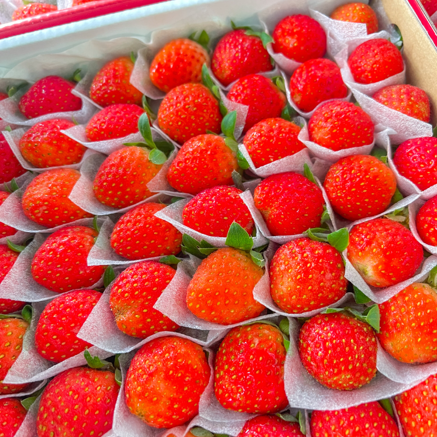 Dâu Nhật Hana_thumbnail_3