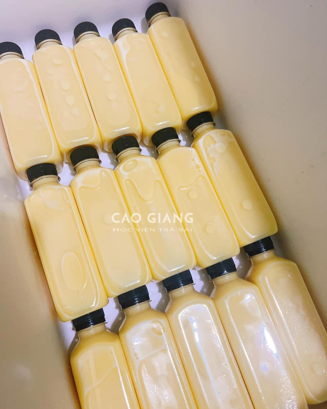 Lớp Sữa Ngô Nóng_thumbnail_8