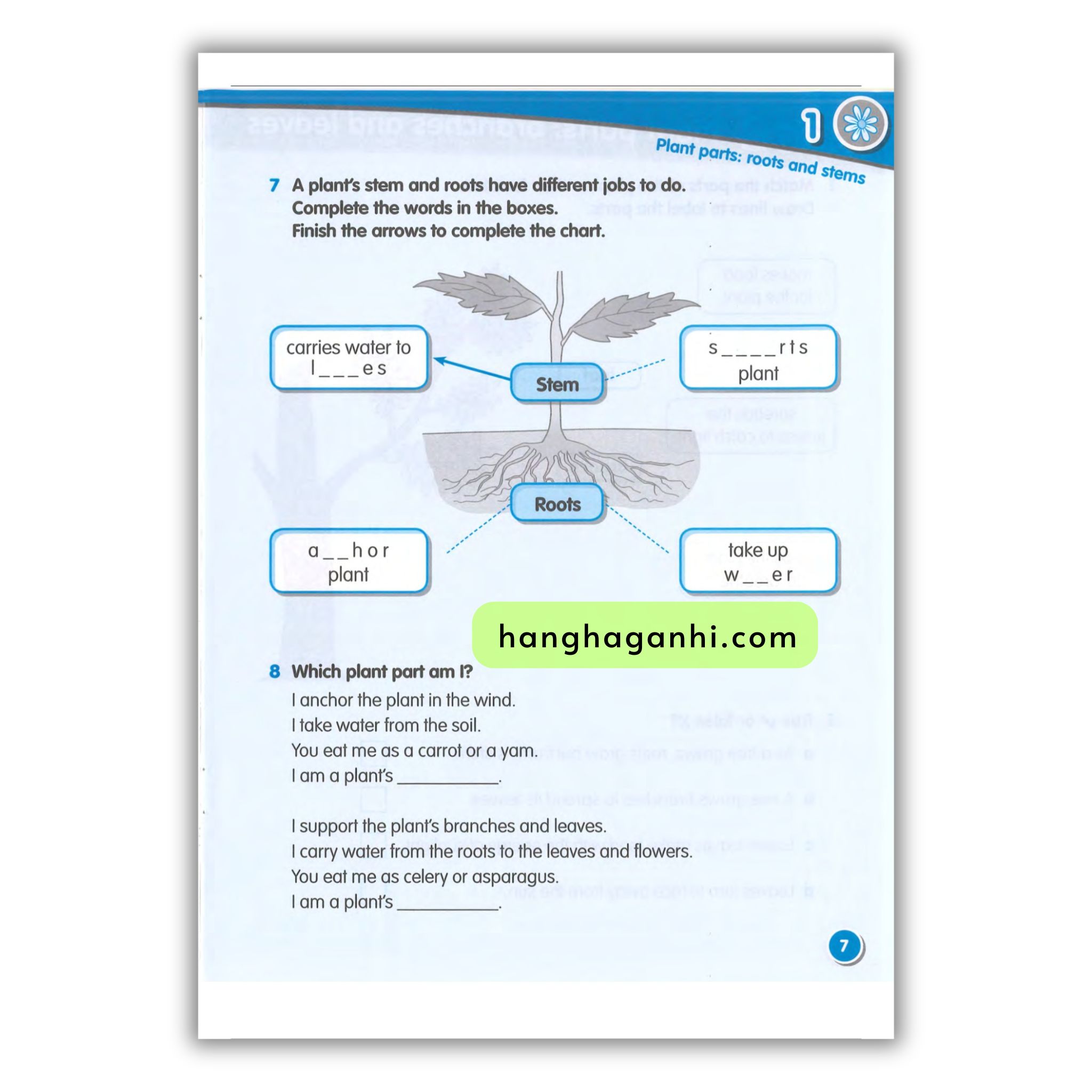 Macmillan Science 3 Workbook_thumbnail_13