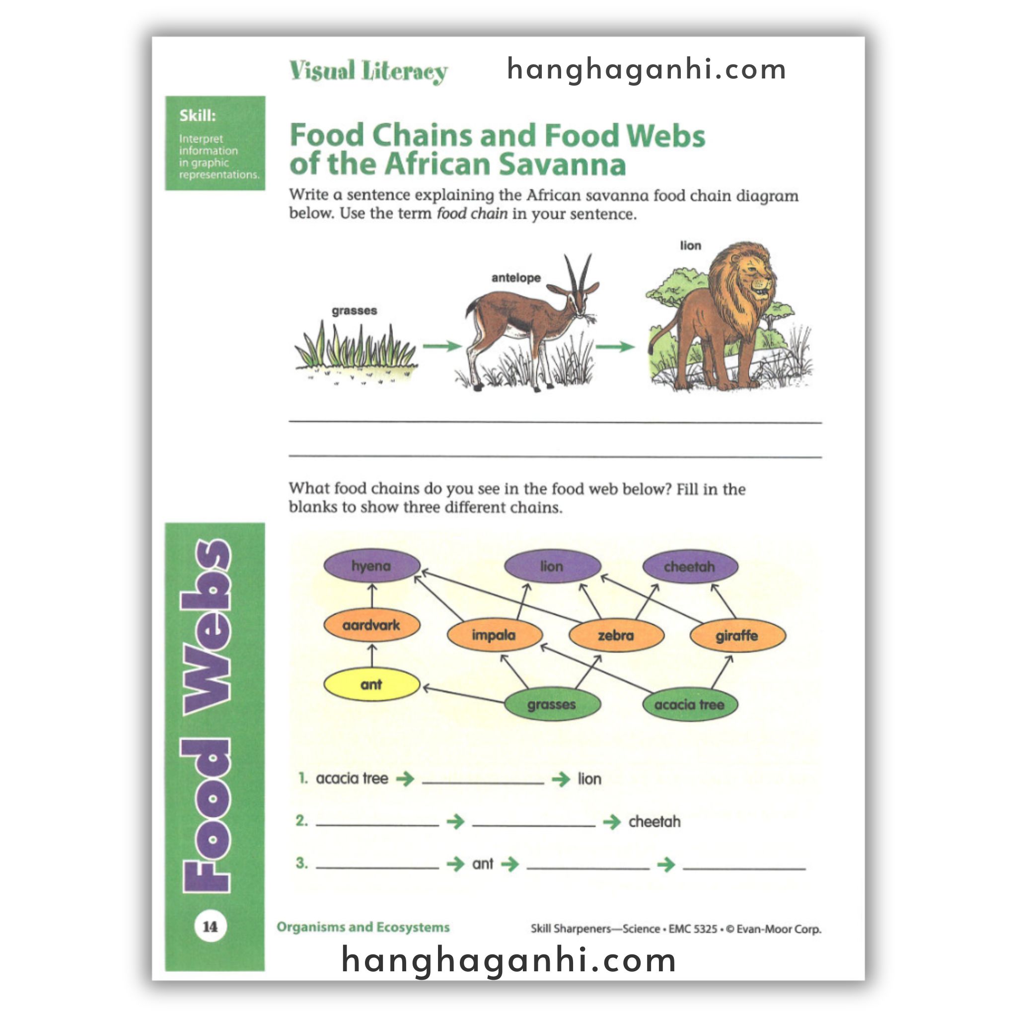 Skill Sharpeners Science Grade 5_thumbnail_11