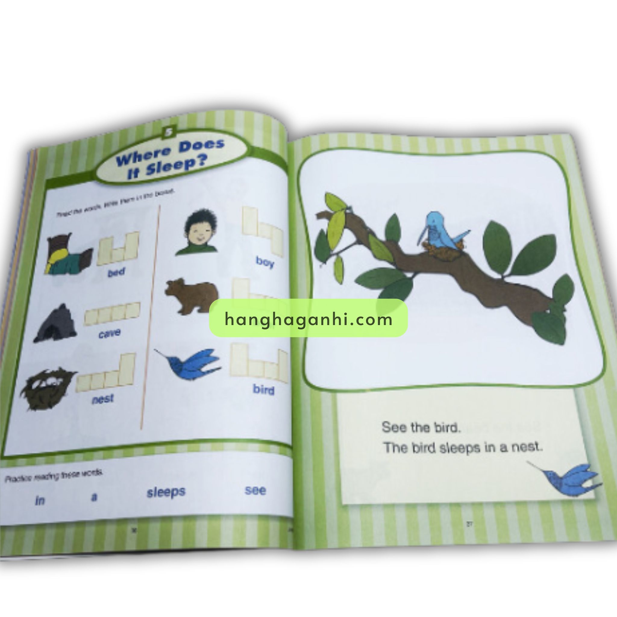 Evan Moor Stories to Read Words to Know – Trọn Bộ 10 Cuốn Kèm Audio_thumbnail_14