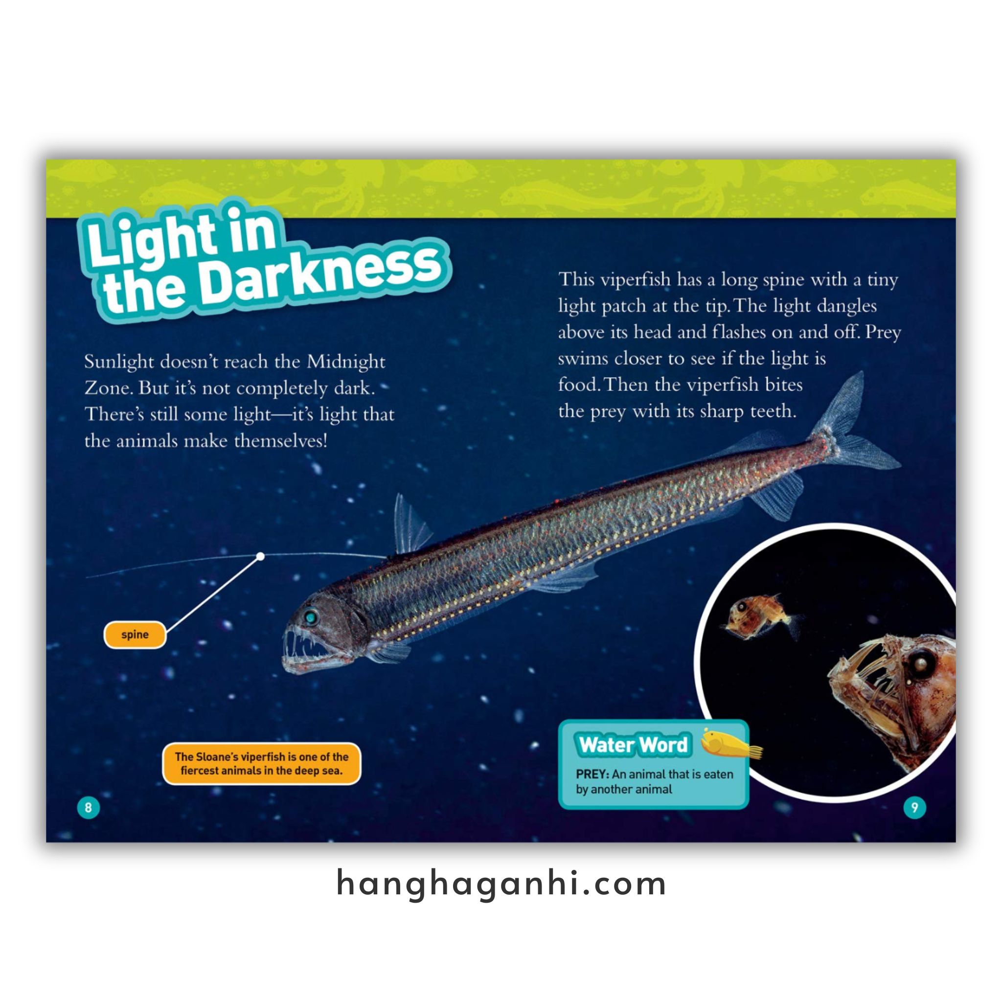 Bộ 38 cuốn National Geographic Kids level 3 - sách Khoa học tiếng Anh nhập khẩu, nguyên seal_thumbnail_10