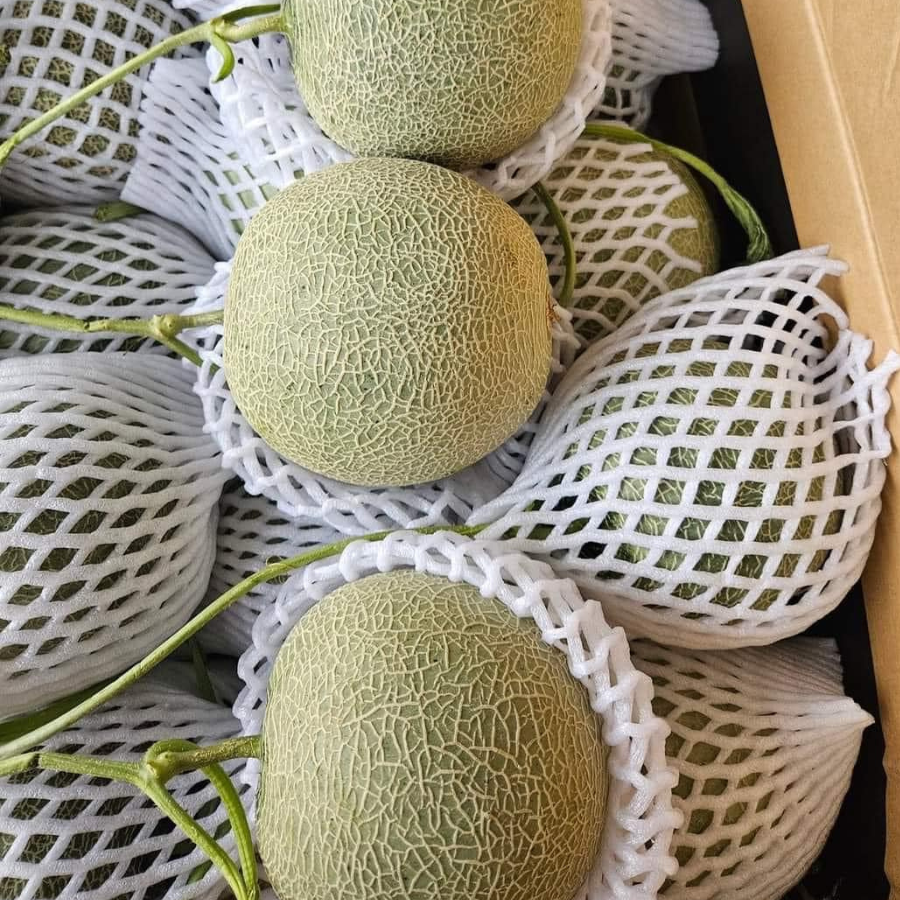 Dưa lưới TL3_thumbnail_3