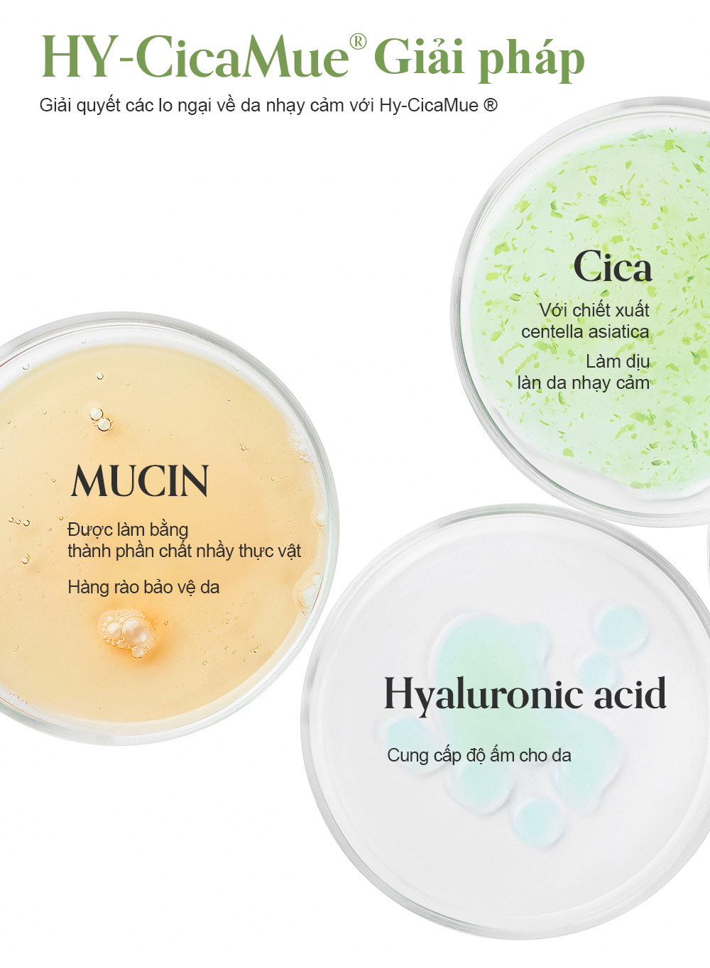 Sữa rửa mặt làm dịu Elravie HyCicaMue Foarm 150ml_thumbnail_5