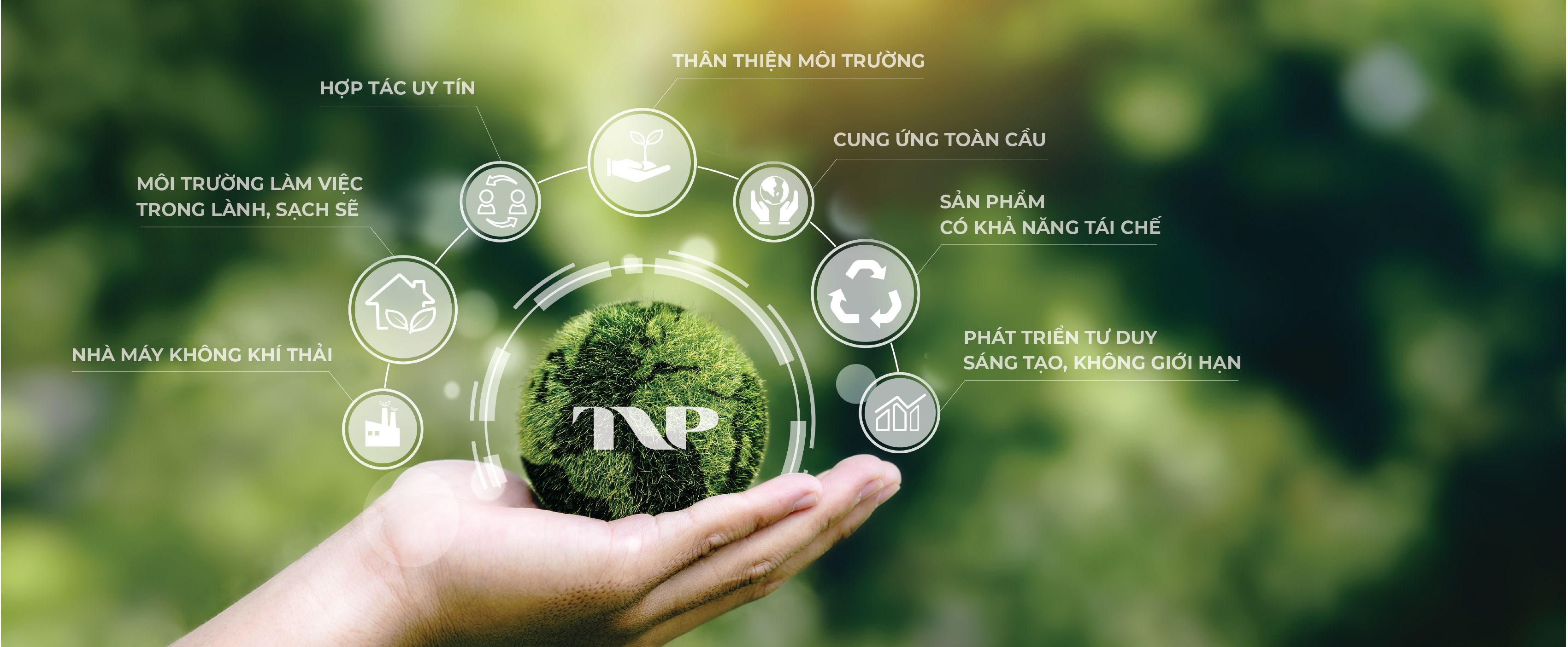 Ảnh chụp Màn hình 2025-01-09 lúc 16.04.55