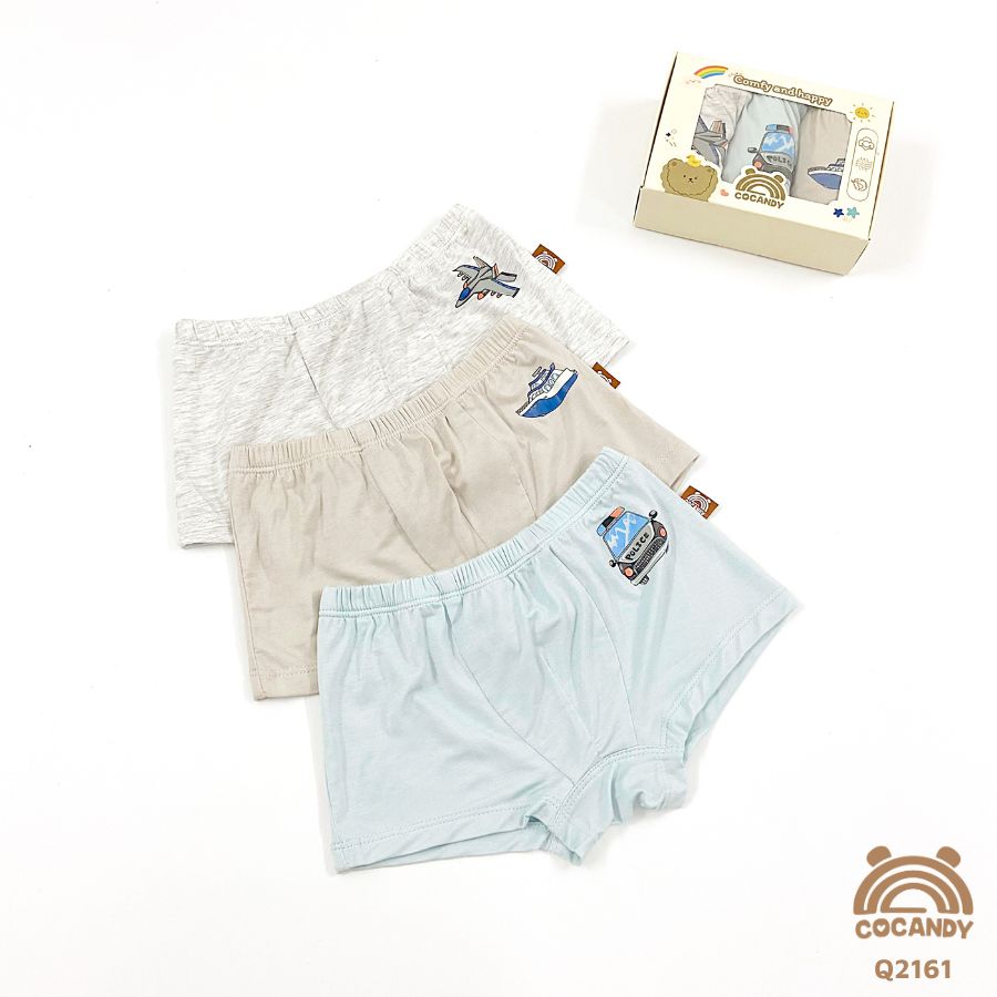 Set quần chip bé trai B1 Cotton Cocandy