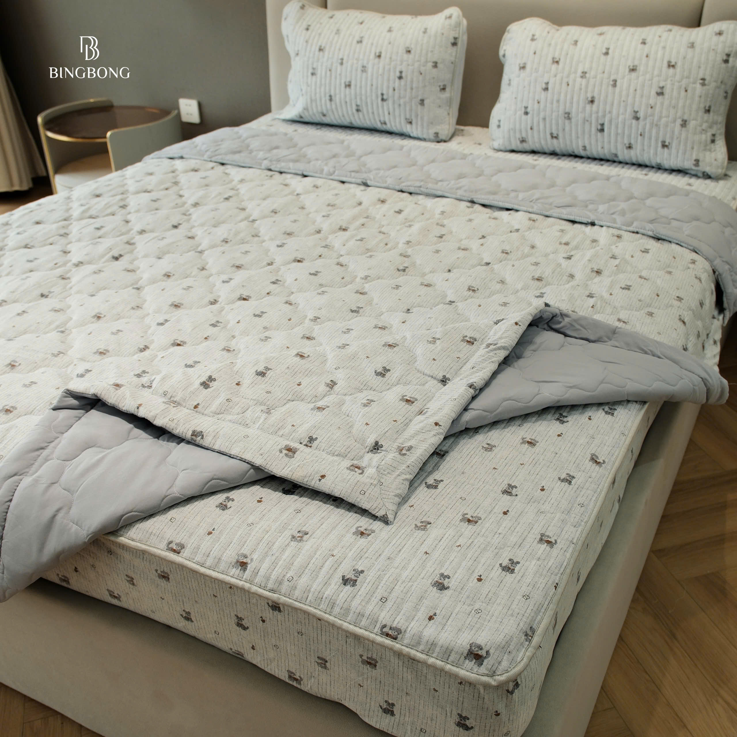 C8 CHĂN 5 MÀU_thumbnail_3