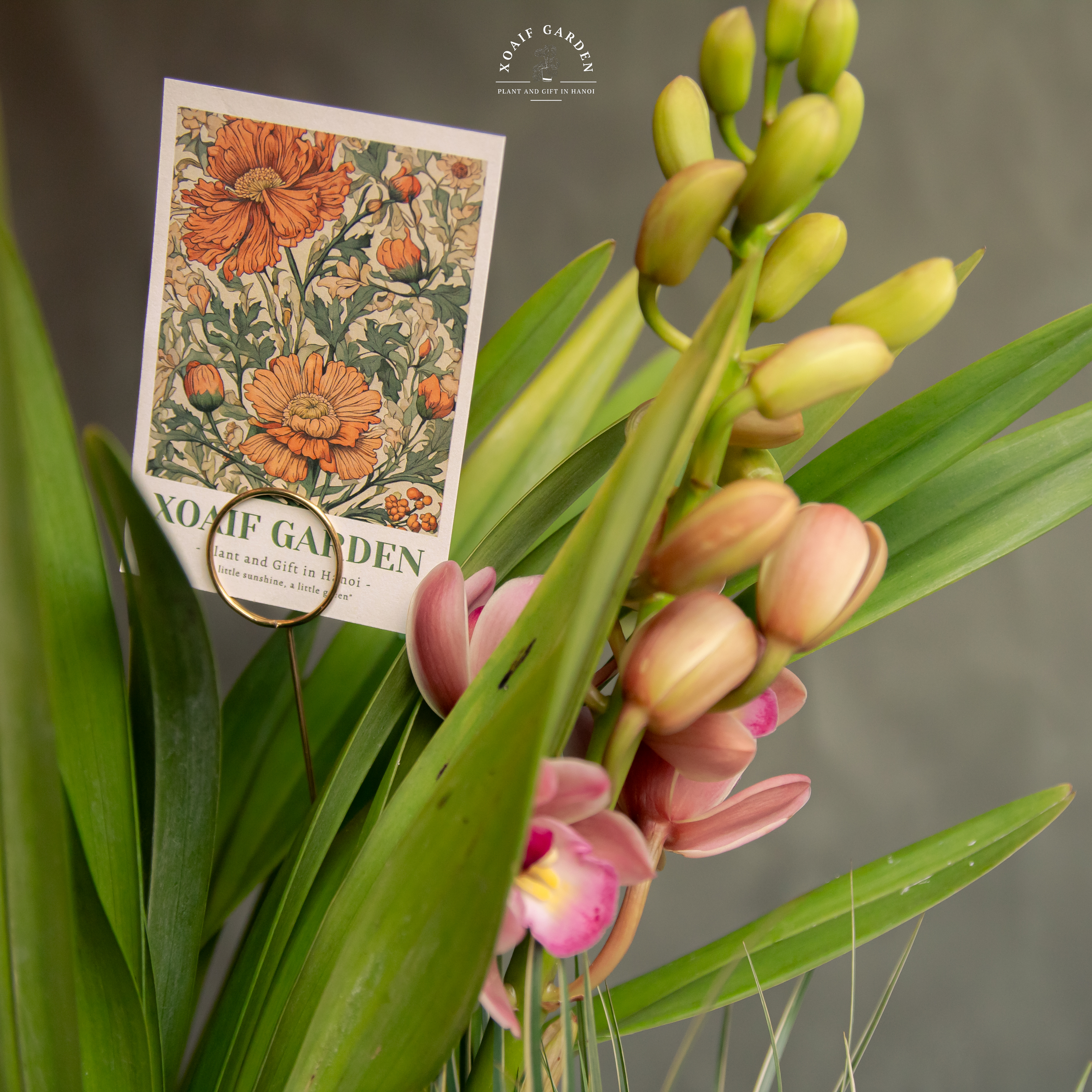 SET ĐỊA LAN MIX PHONG THỦY CAO CẤP XANH DƯƠNG_thumbnail_3