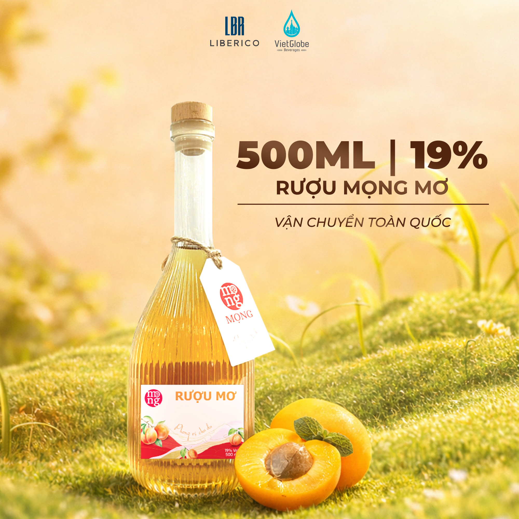 Mọng Rượu Mơ 19% Vol - 500ml