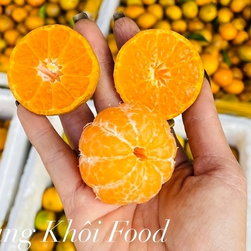 Quýt Mường Cơi (Sơn La)_thumbnail_0