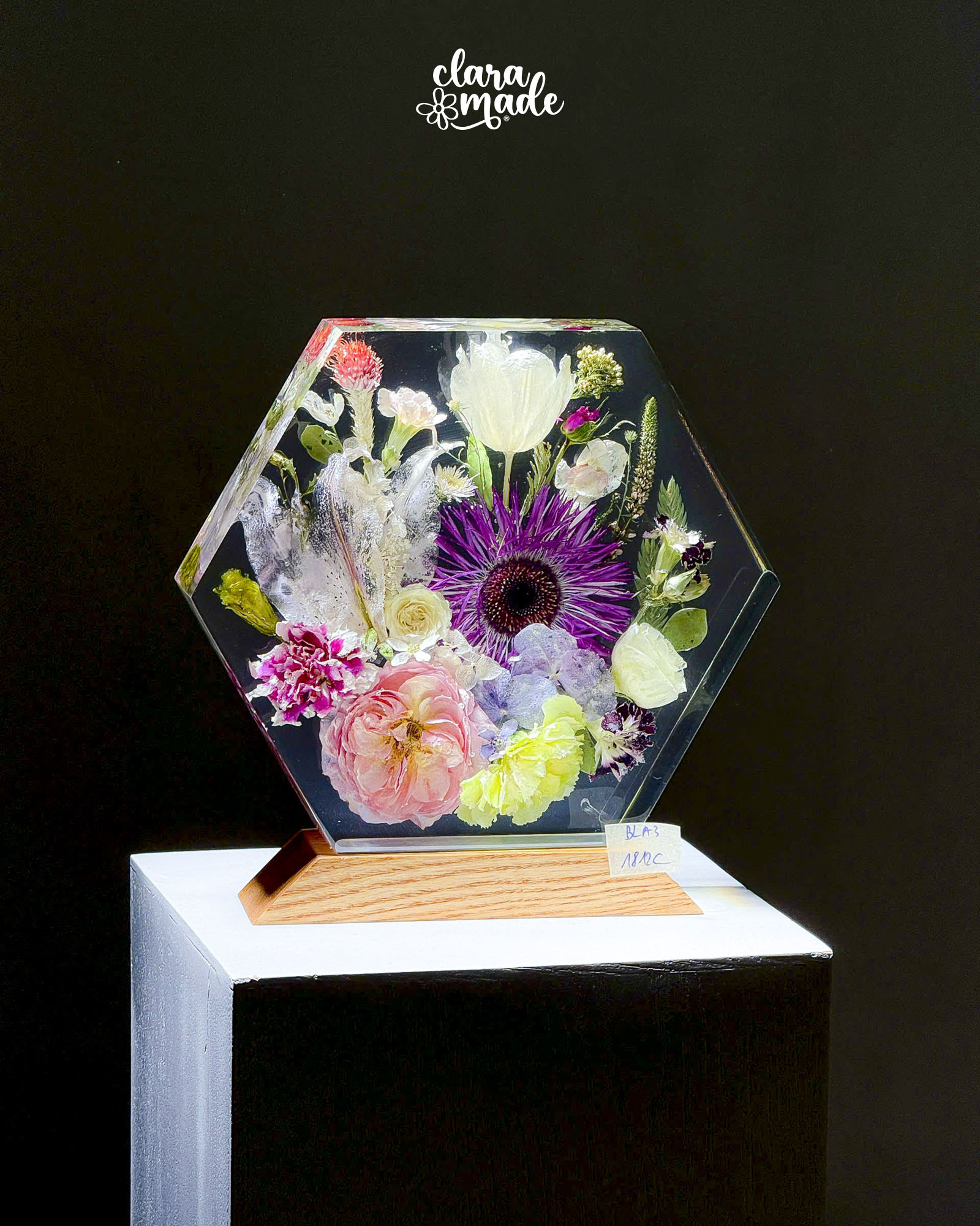 Đèn hoa khô Bloomlight BLA31812C