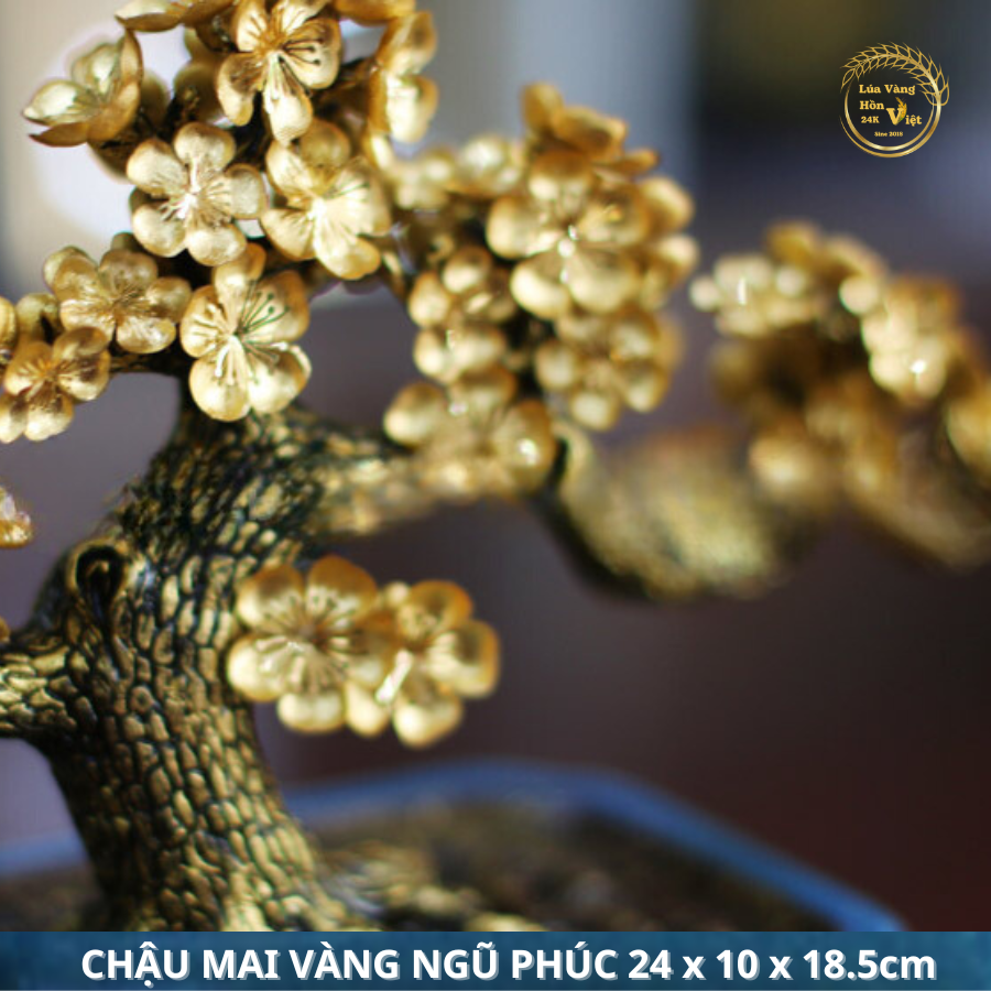 CHẬU MAI VÀNG NGŨ PHÚC 24x10x18.5cm_thumbnail_3