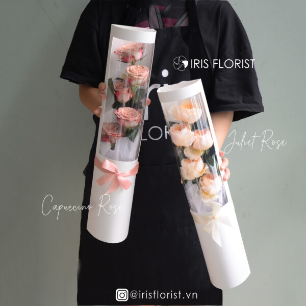 Love in a Bottle - Set 5 Bông Hồng Capuccino