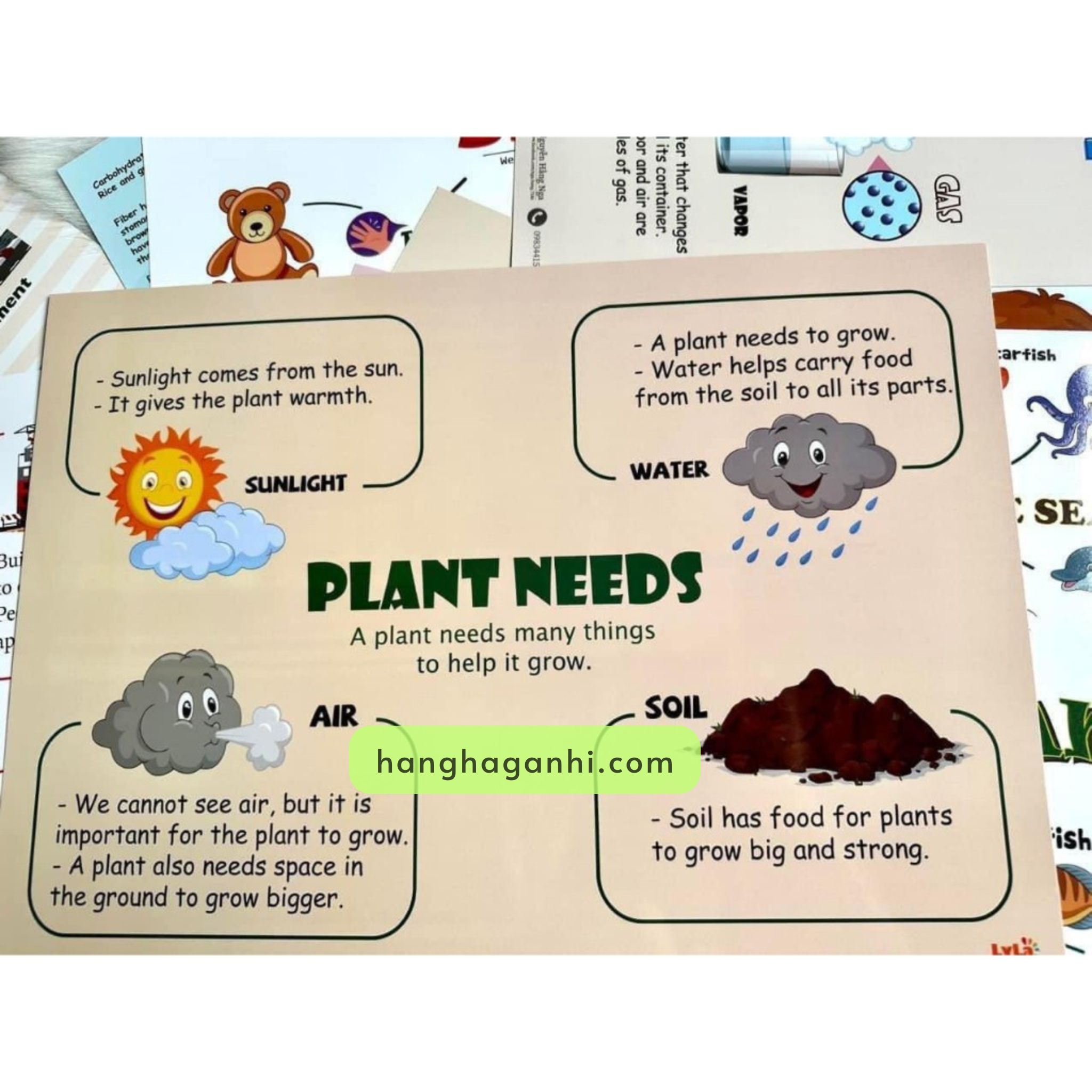 Bộ Mindmap Thuyết Trình 46 Chủ Đề Theo Sơ Đồ Tư Duy_thumbnail_6