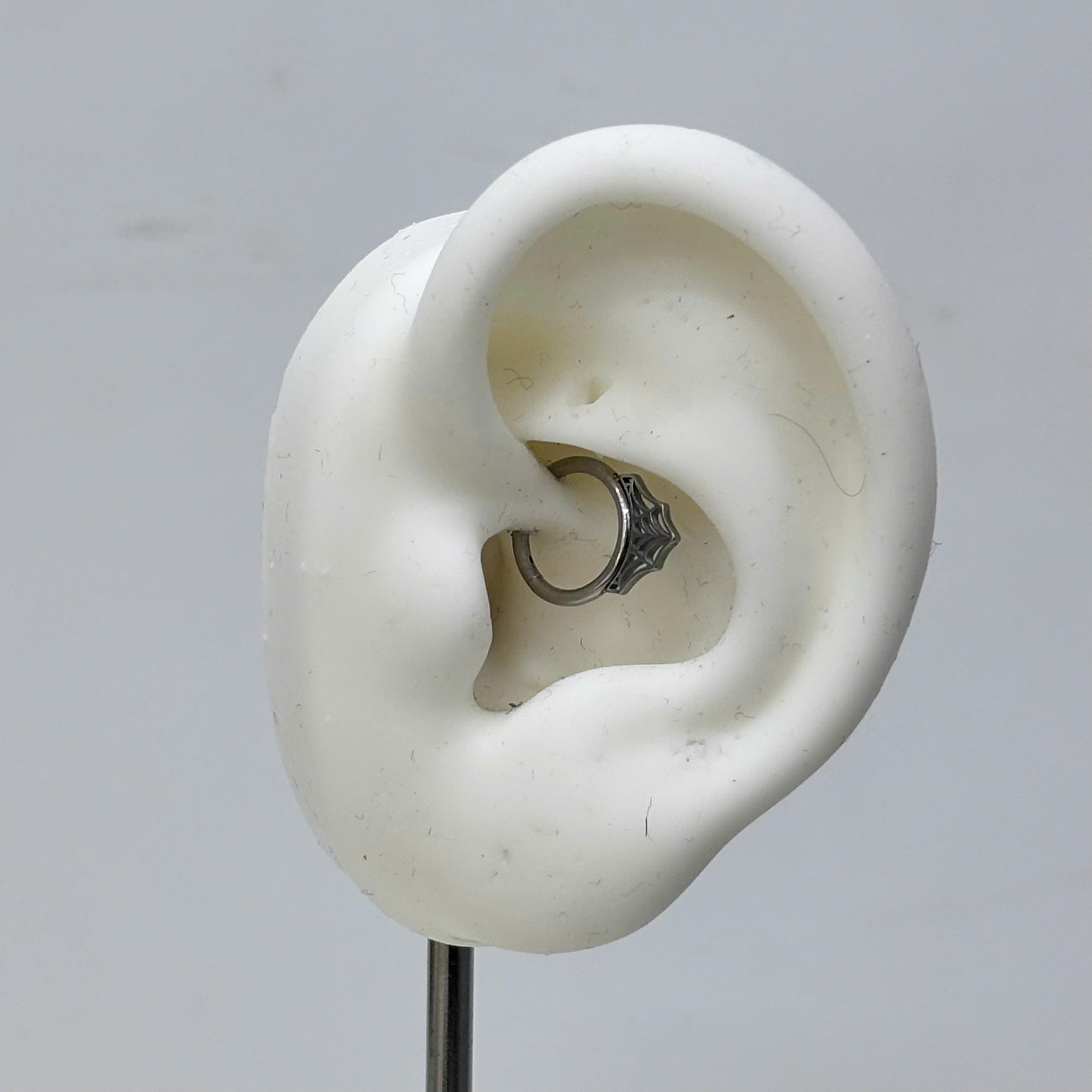 Daith hình mạng nhện._thumbnail_3